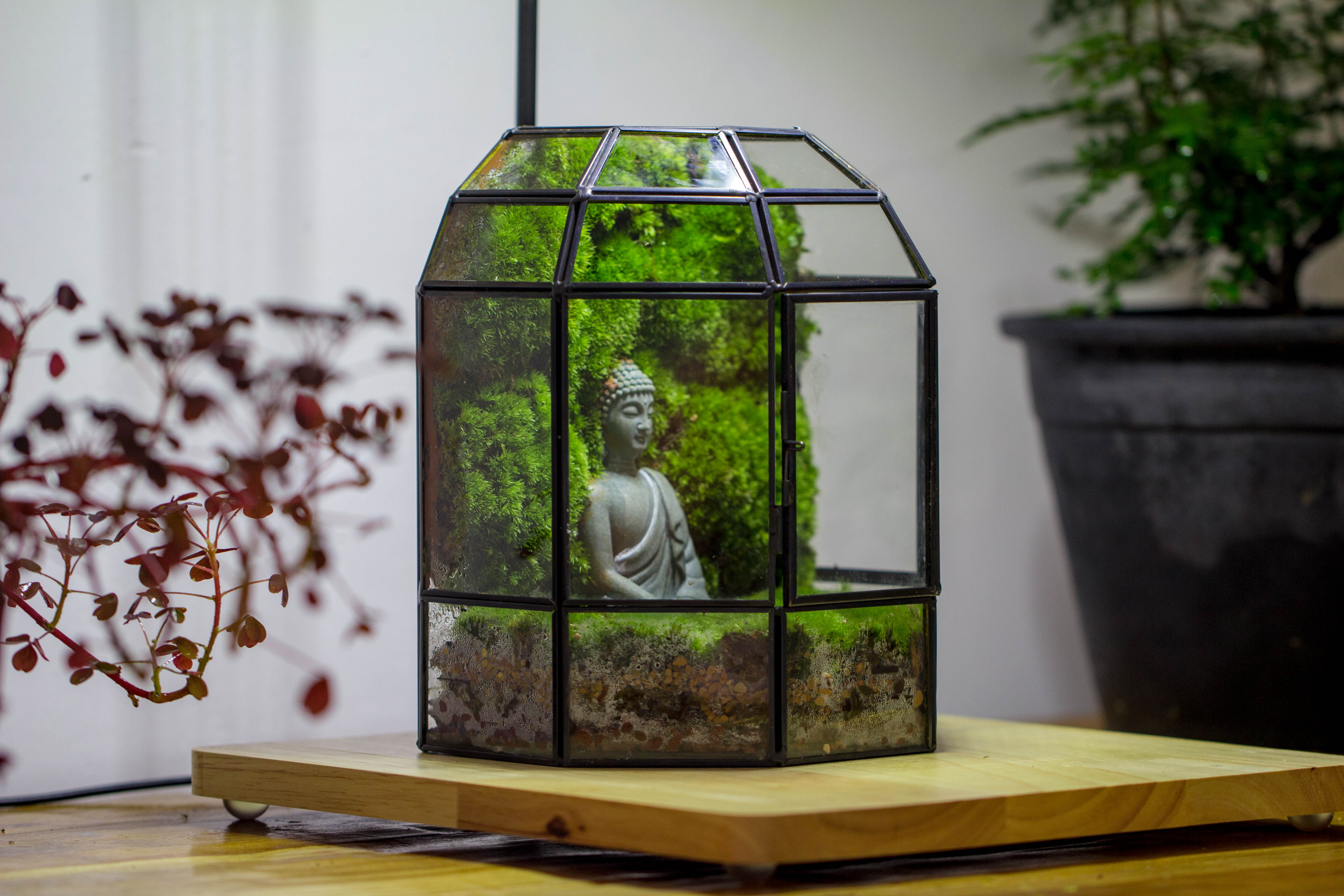 NCYP Half Dome Geometric Glass Terrarium Round, Closed Succulents Planter Pot Miniature Landscape Bonsai Container - NCYPgarden