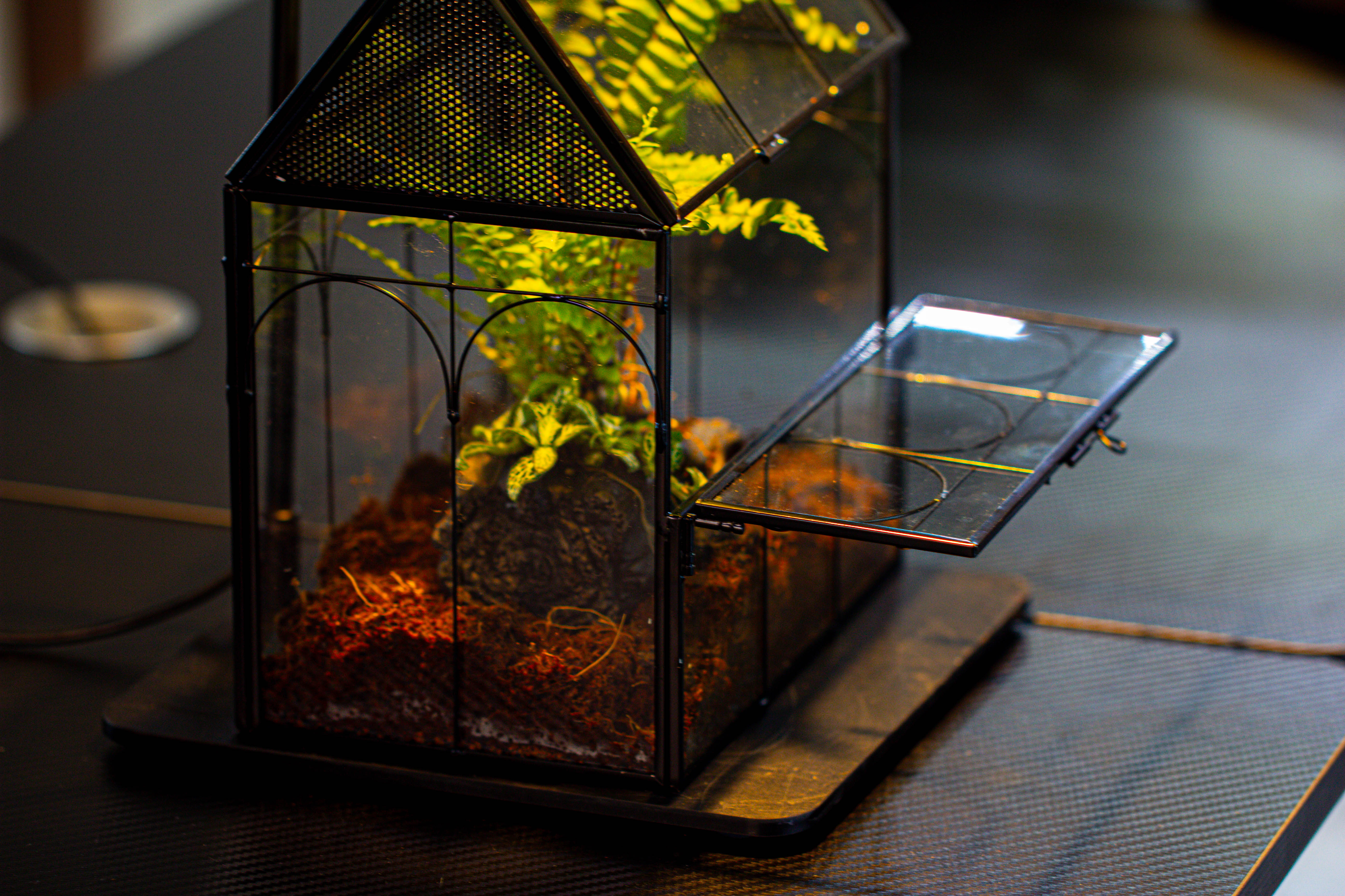 Handmade Terrarium with Light, House Shape Glass Geometric Terrarium with LED Light Set - NCYPgarden