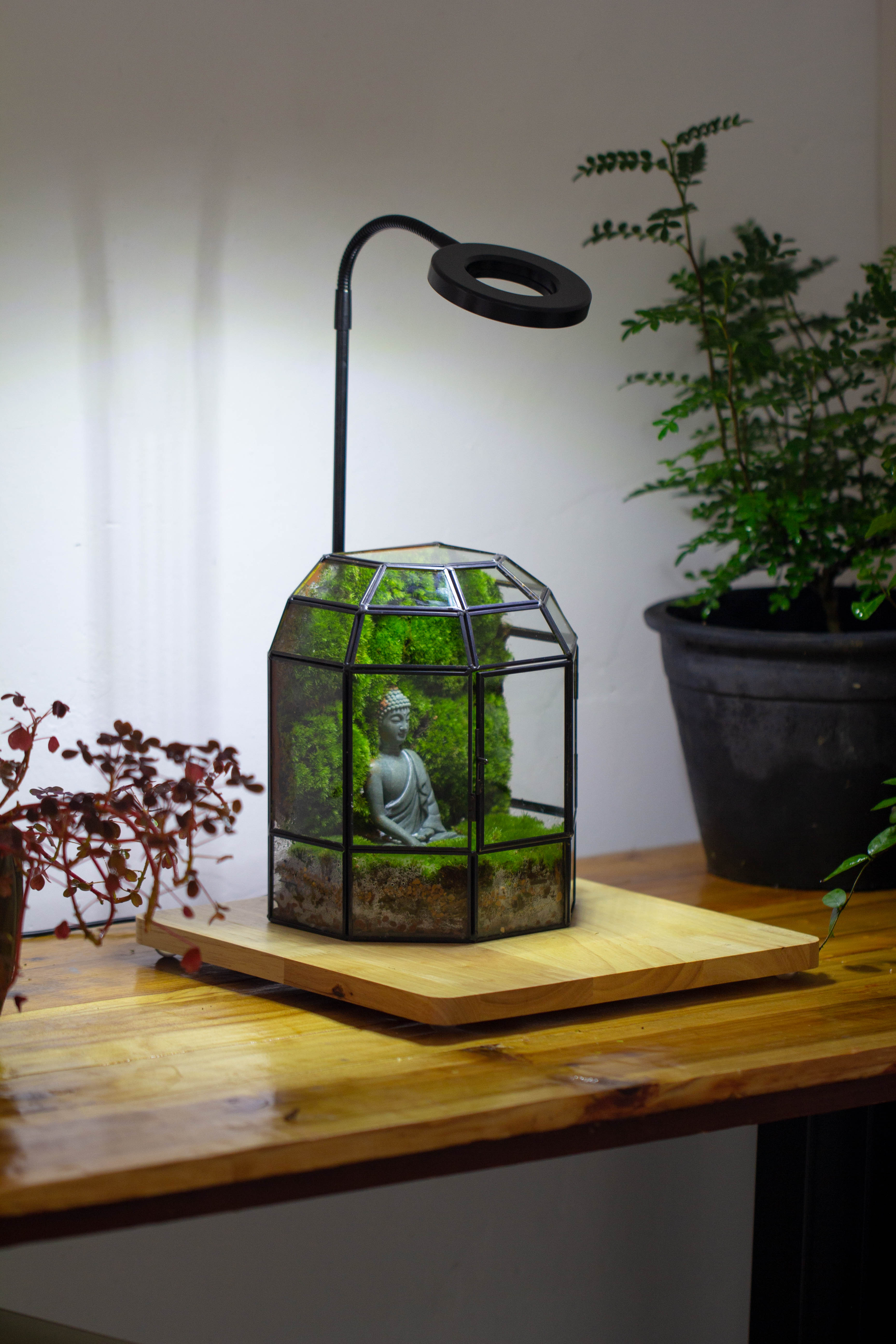 NCYP Half Dome Geometric Glass Terrarium Round, Closed Succulents Planter Pot Miniature Landscape Bonsai Container - NCYPgarden