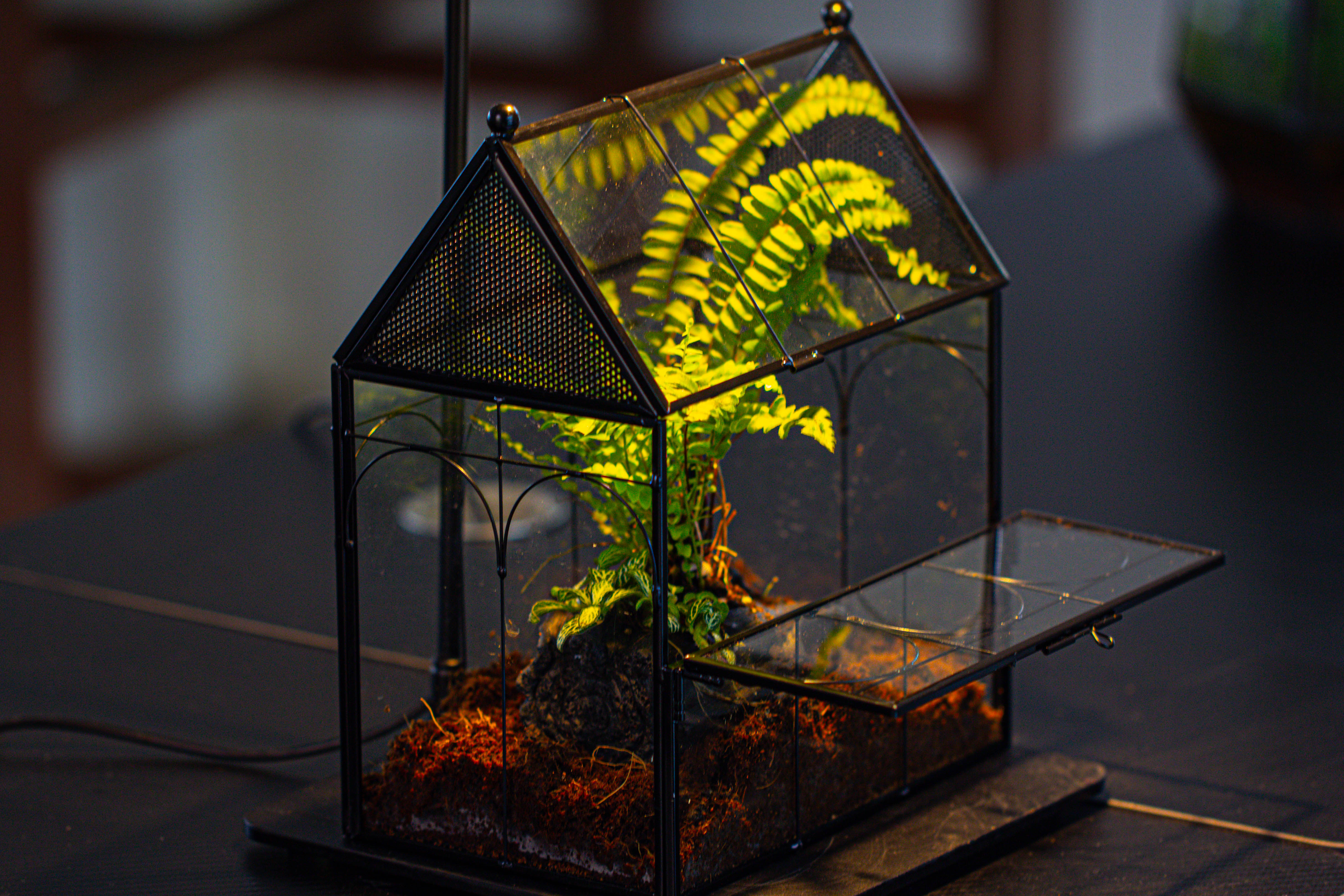 Handmade Terrarium with Light, House Shape Glass Geometric Terrarium with LED Light Set - NCYPgarden
