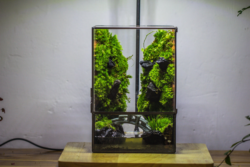 Close Geometric Glass Tin Terrarium , Watertight, 8x10" Container for Moss Wall, Fern, Landscape waterpond, No plants - NCYPgarden