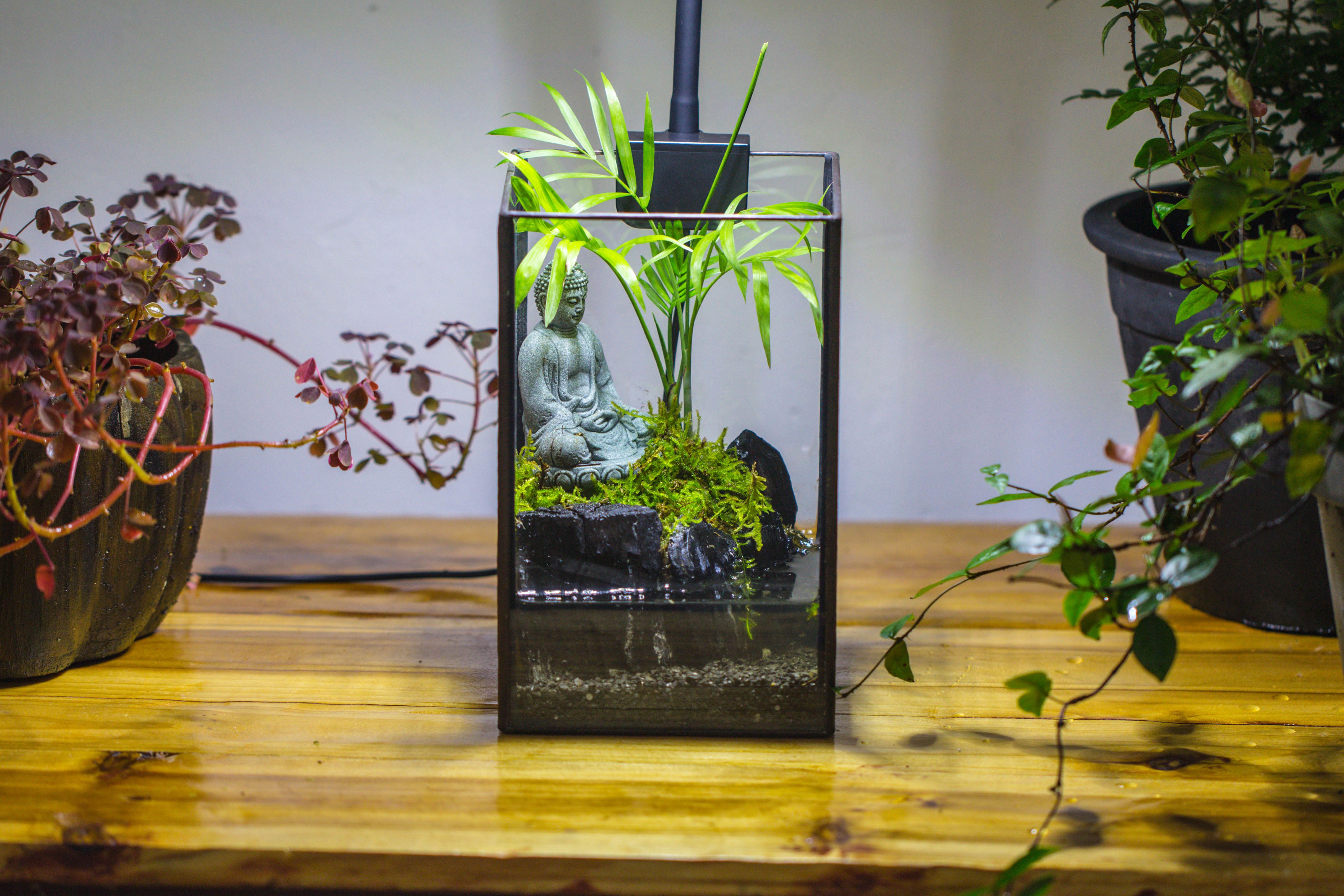 NCYP Watertight Open Geometric Glass Tin Terrarium, for small waterpond, Bog, moss landscape, Water pond, Carnivorous Plants - NCYPgarden