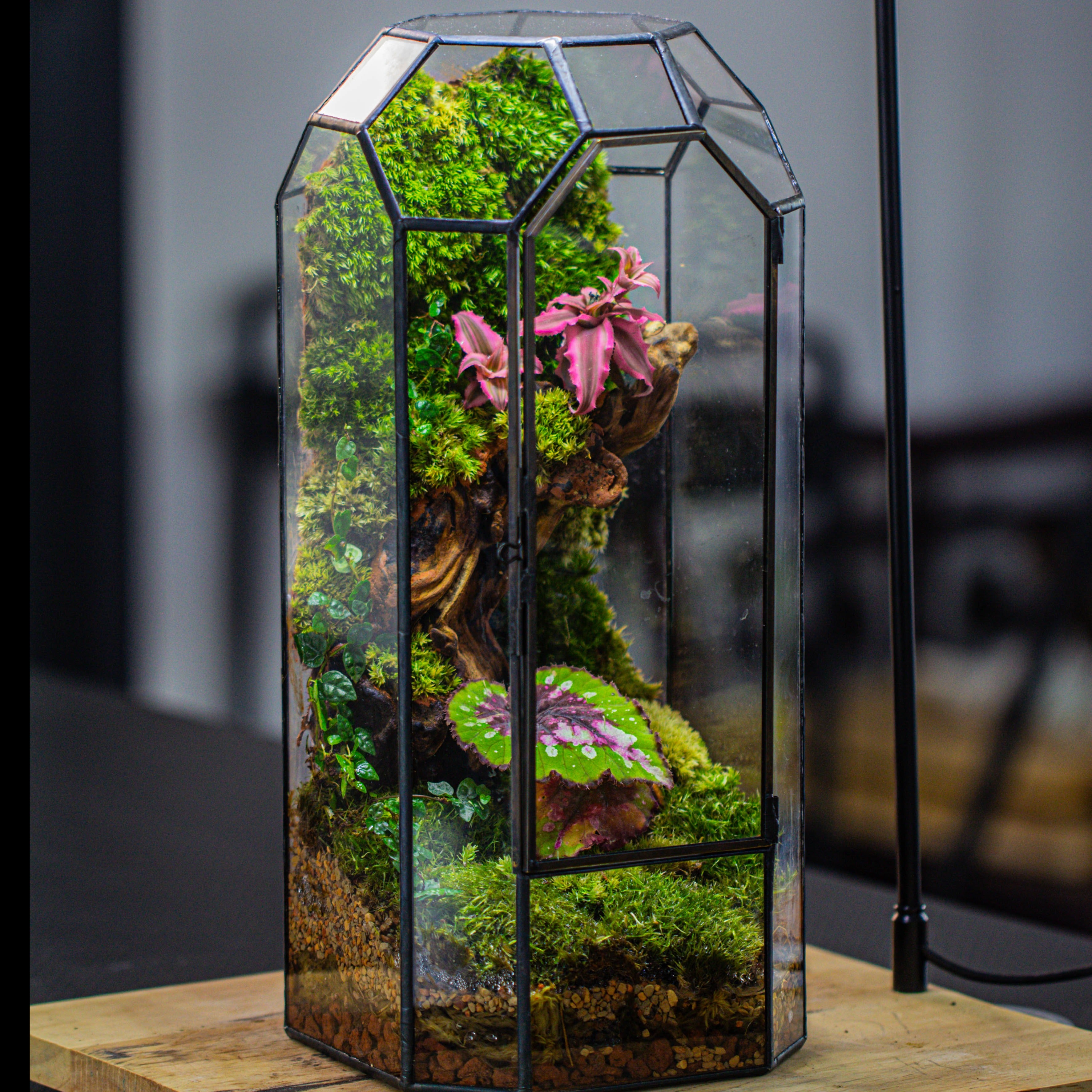 Vintage Tall Octagon Geometric Tin Glass Terrarium , 12.6" , close, suitable for tall plants, orchid, small begonia Pitcher, Micro landscape - NCYPgarden