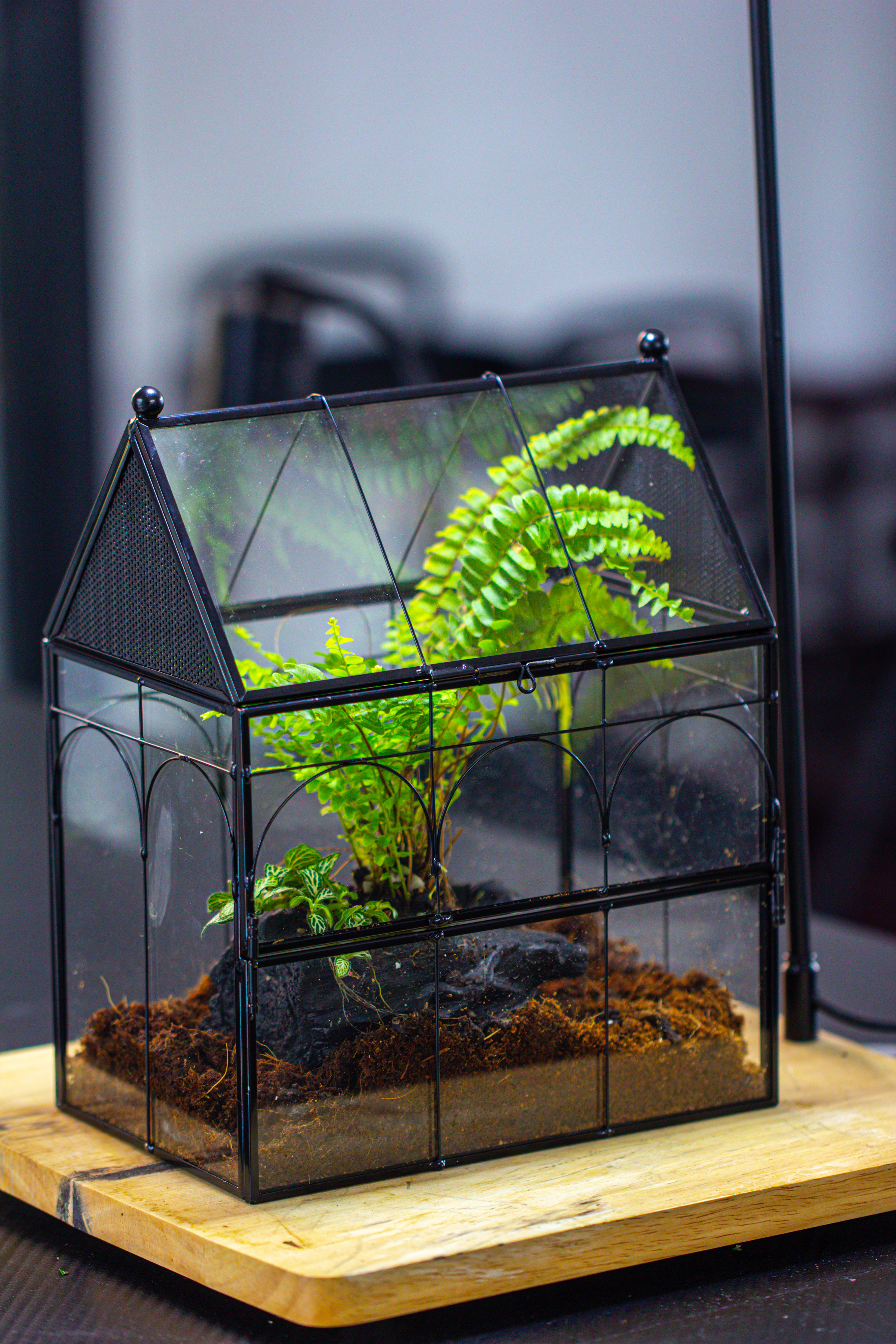 NCYP Vintage House Shape Glass Geometric Terrarium, with side door, with Mesh / vent holes for small Insects Pet building set - NCYPgarden