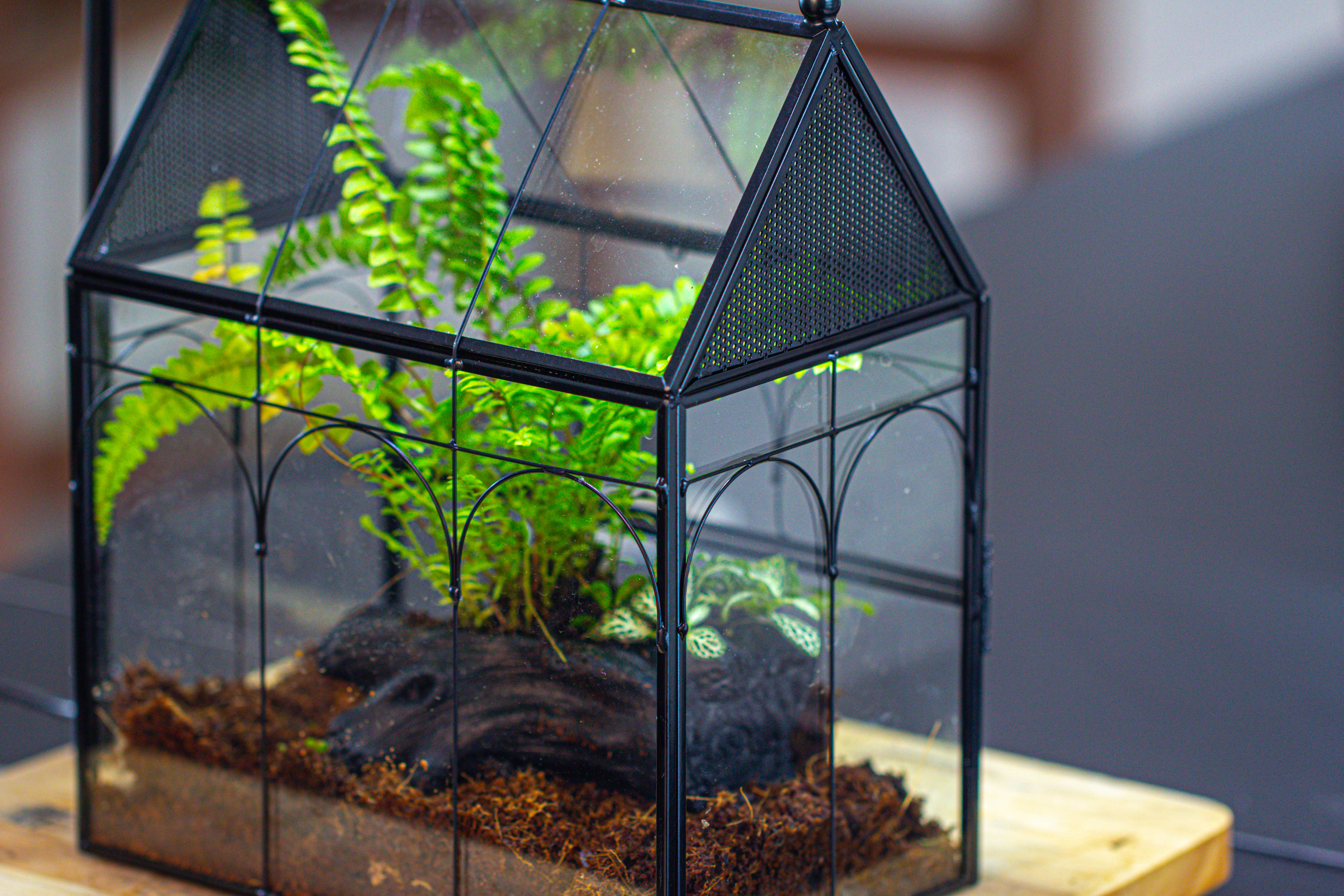 Handmade Terrarium with Light, House Shape Glass Geometric Terrarium with LED Light Set - NCYPgarden
