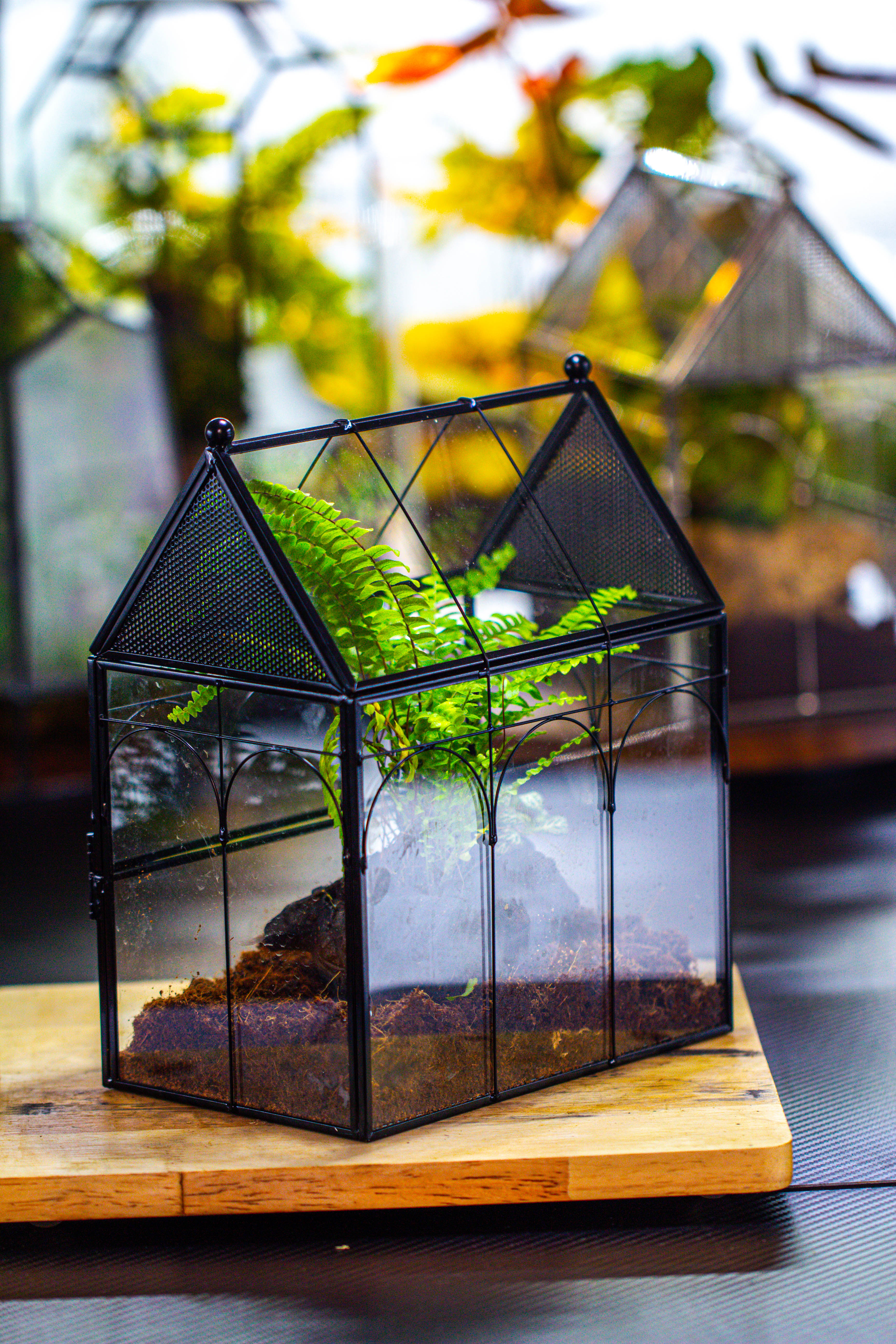 Handmade Terrarium with Light, House Shape Glass Geometric Terrarium with LED Light Set - NCYPgarden