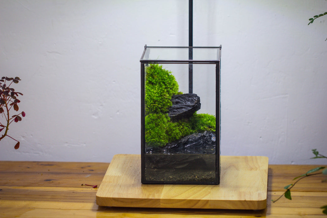 NCYP Watertight Close Geometric Glass Tin Terrarium, for small waterpond, moss landscape, Live Miniature, water pond, miniature - NCYPgarden