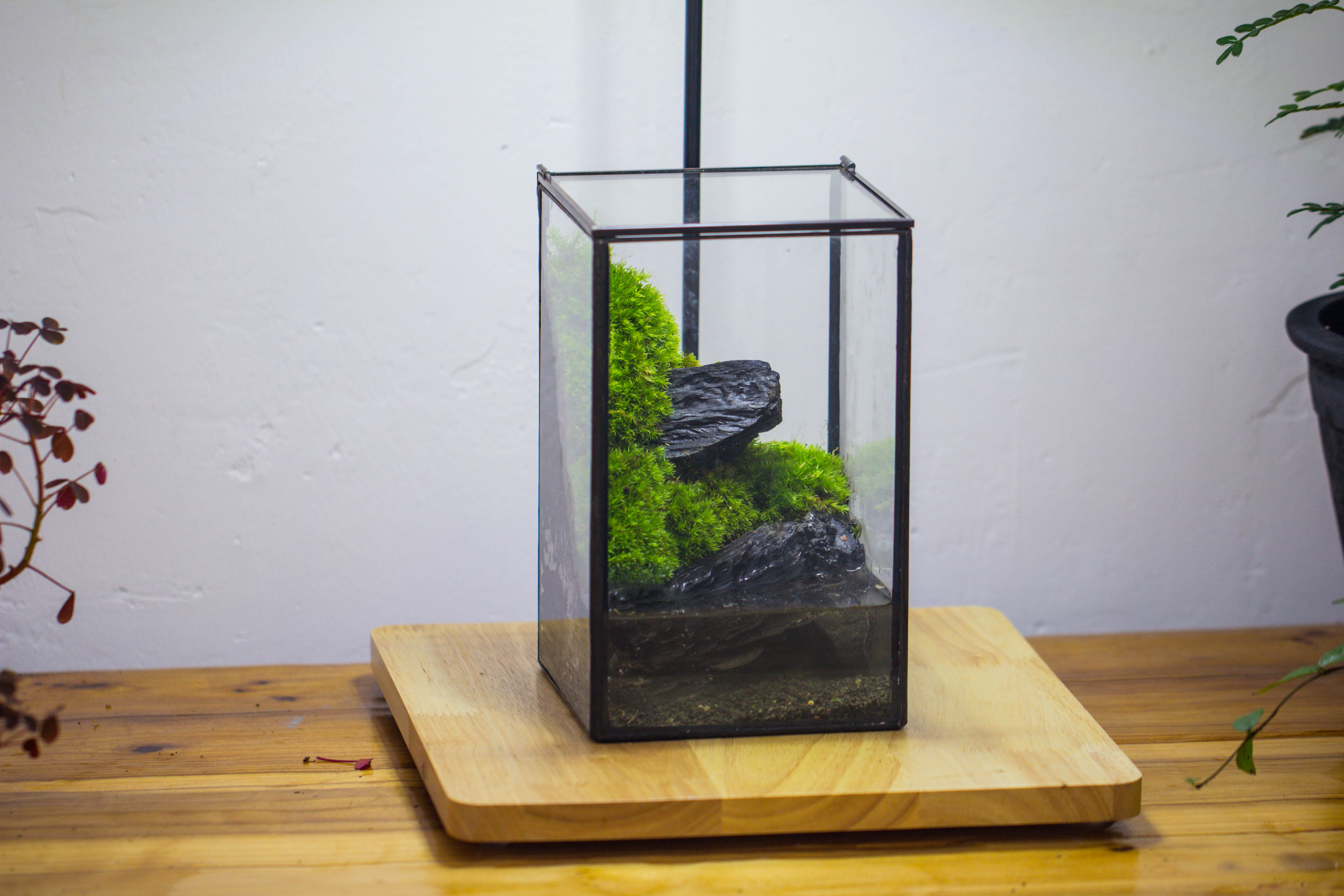 NCYP Watertight Close Geometric Glass Tin Terrarium, for small waterpond, moss landscape, Live Miniature, water pond, miniature NCYP Watertight Close Geometric Glass Tin Terrarium, for small waterpond, moss landscape, Live Miniature, water pond, miniature