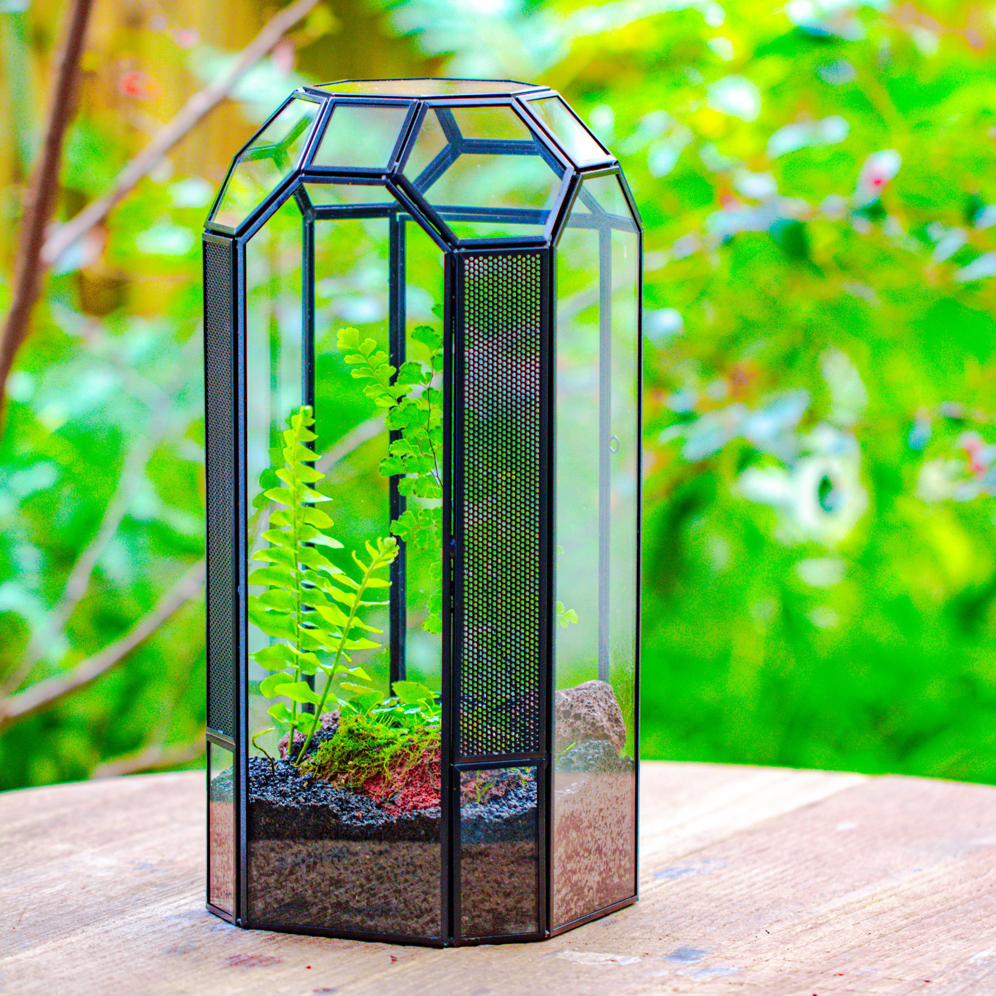 Vintage Tall Octagon Geometric Glass Terrarium with vent for Insect, Spider, Mantis Enclosure