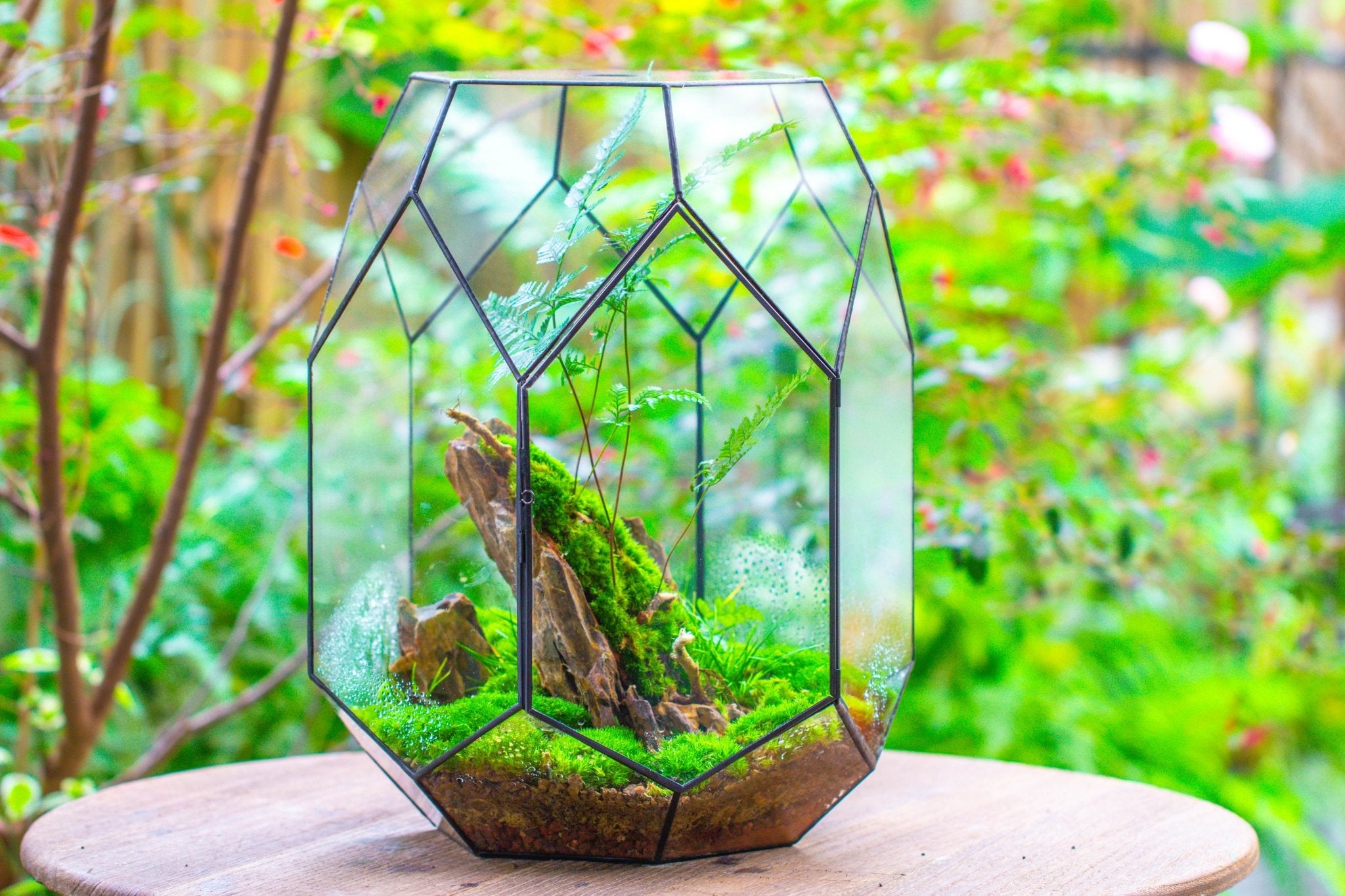 large terrarium with plants 16.2" tall, 13" wide Super Large Flat Top with Vent Hole Close Geometric Glass Terrarium PG09D3