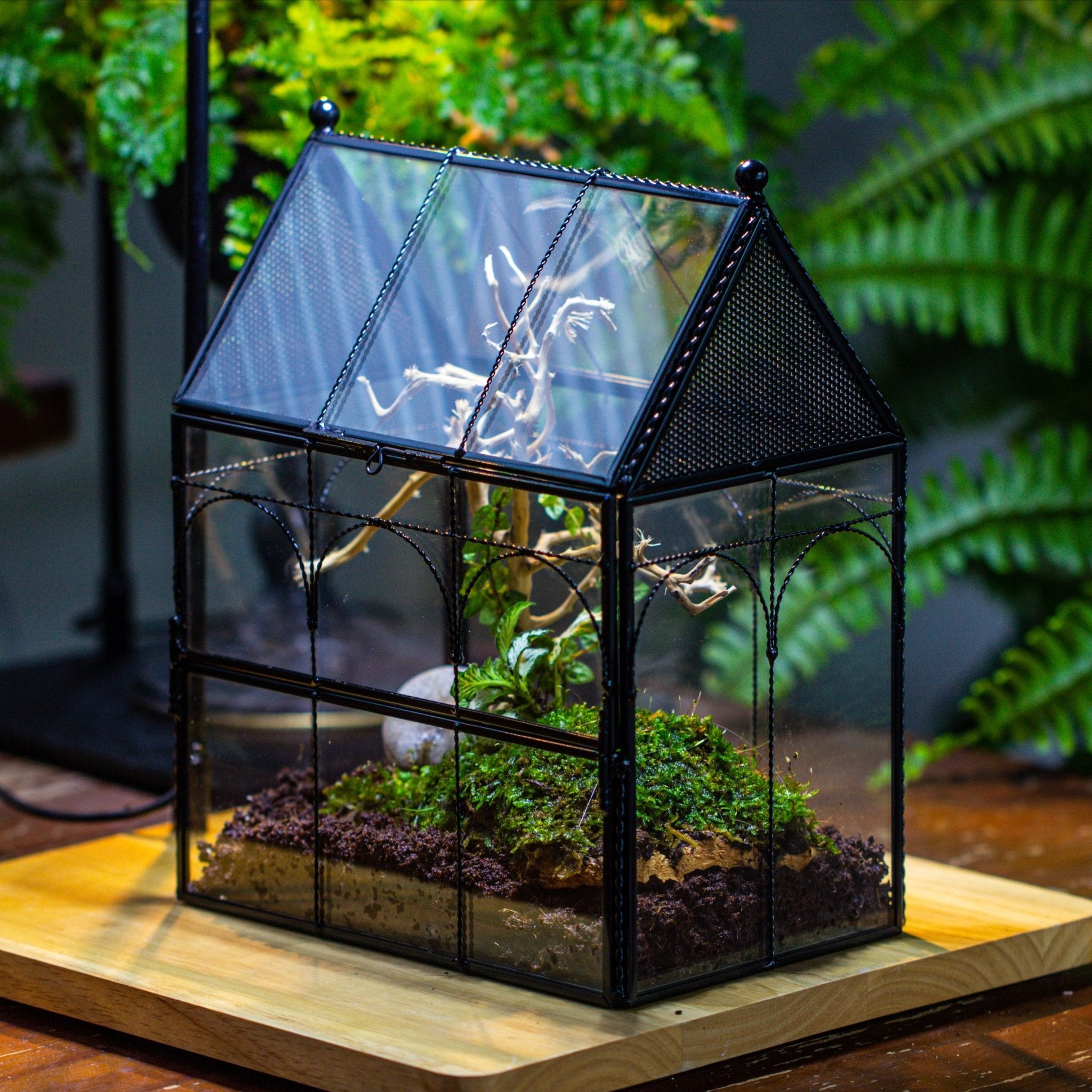 spider plant terrarium Handmade Twisted Wire House Shape Glass Geometric Terrarium with LED Light Set, Snail Jumping Spider Enclosure, Insect Container Set
