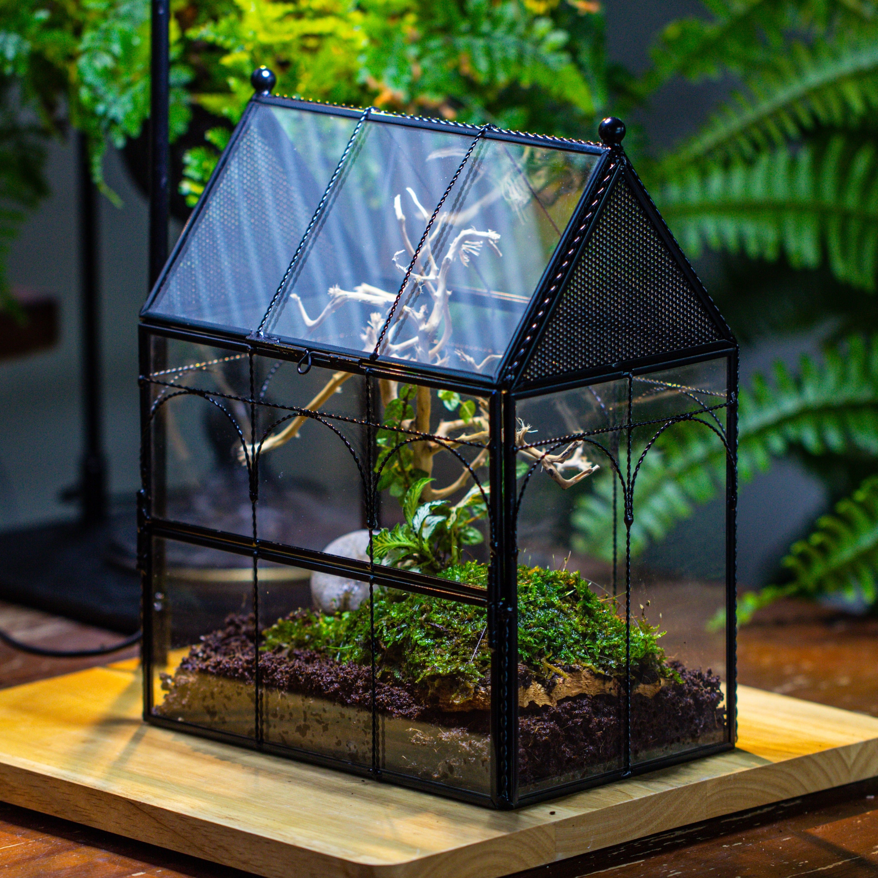 NCYP Vintage House Shape Glass Geometric Terrarium, with side door, with Mesh vent holes for small Insects Pet - NCYPgarden