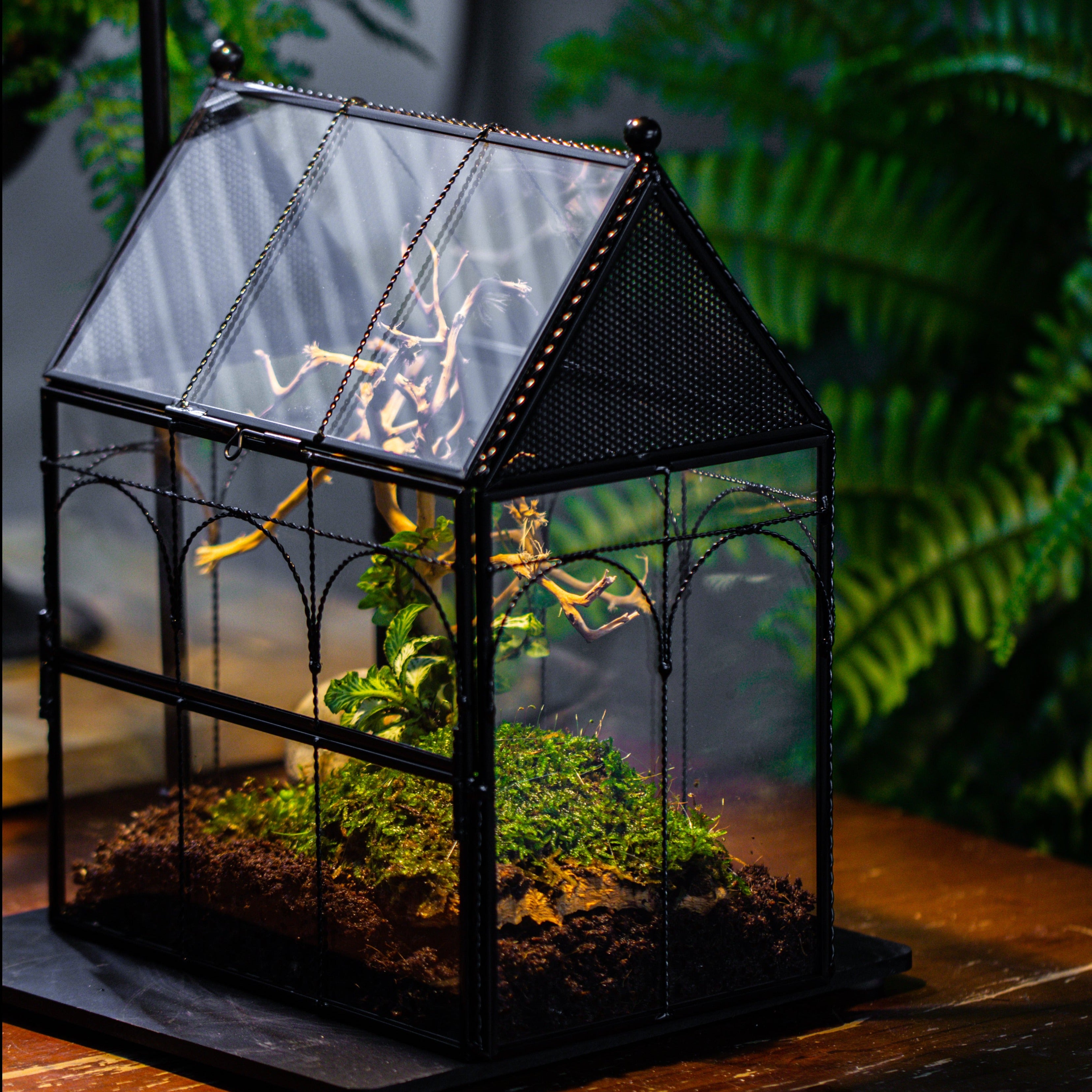Handmade Twisted Wire House Shape Glass Geometric Terrarium with LED Light Set, Snail Jumping Spider Enclosure, Insect Container Set - NCYPgarden