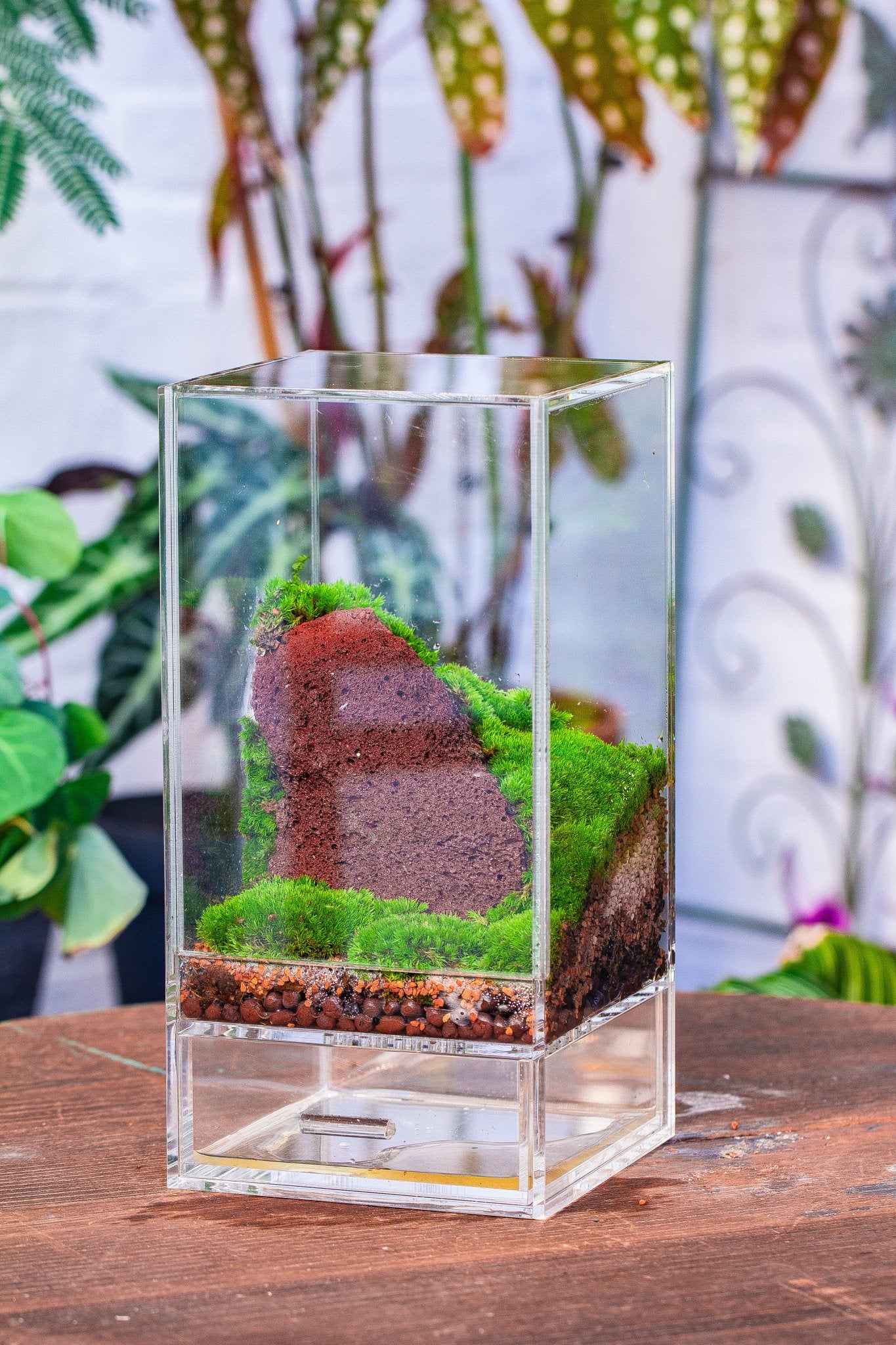 acrylic terrarium for plants Acrylic Products