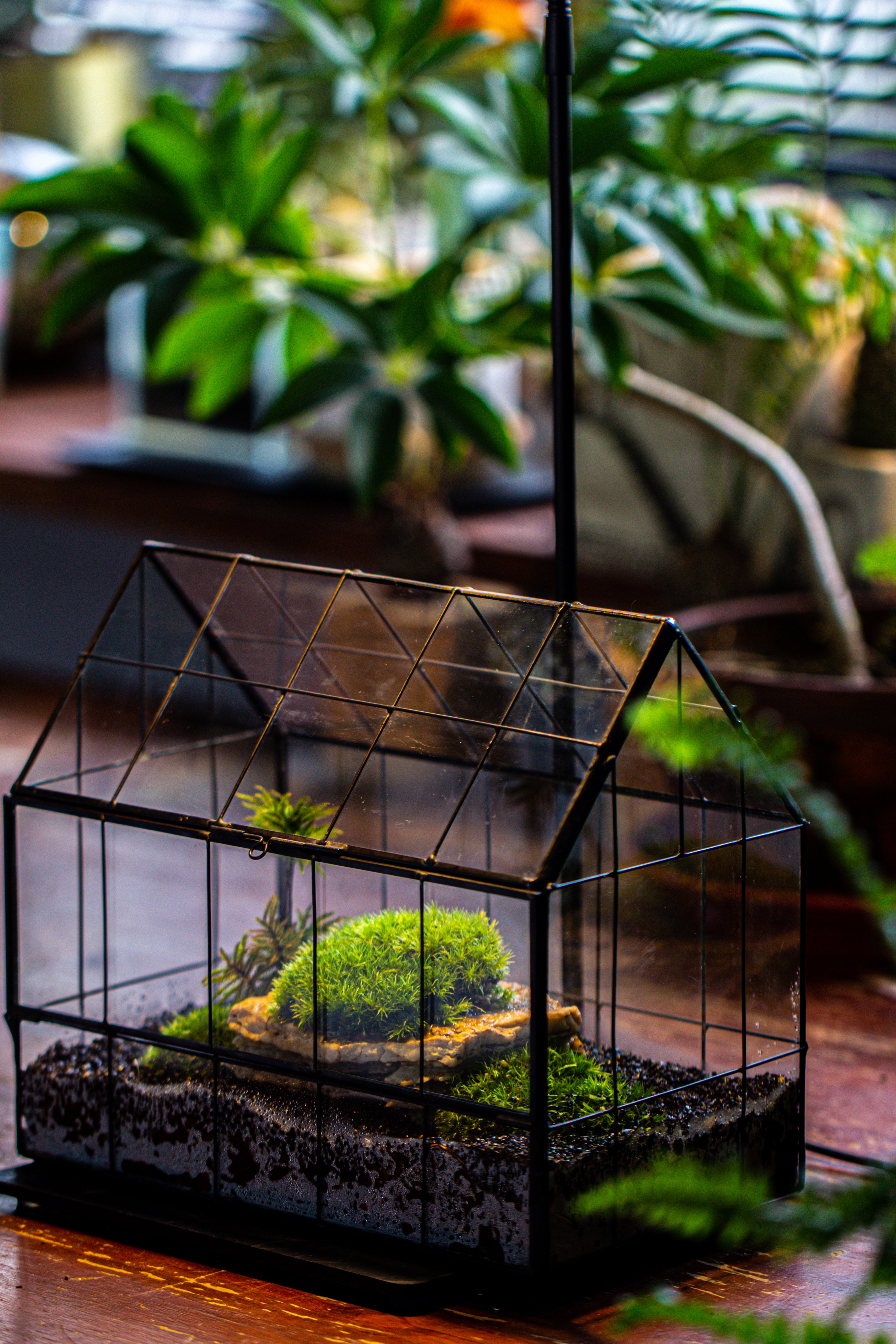 Handmade Glass Terrarium with LED Grow Light Set, Side Door Closed Geometric GreenHouse with Base and Light Set - NCYPgarden