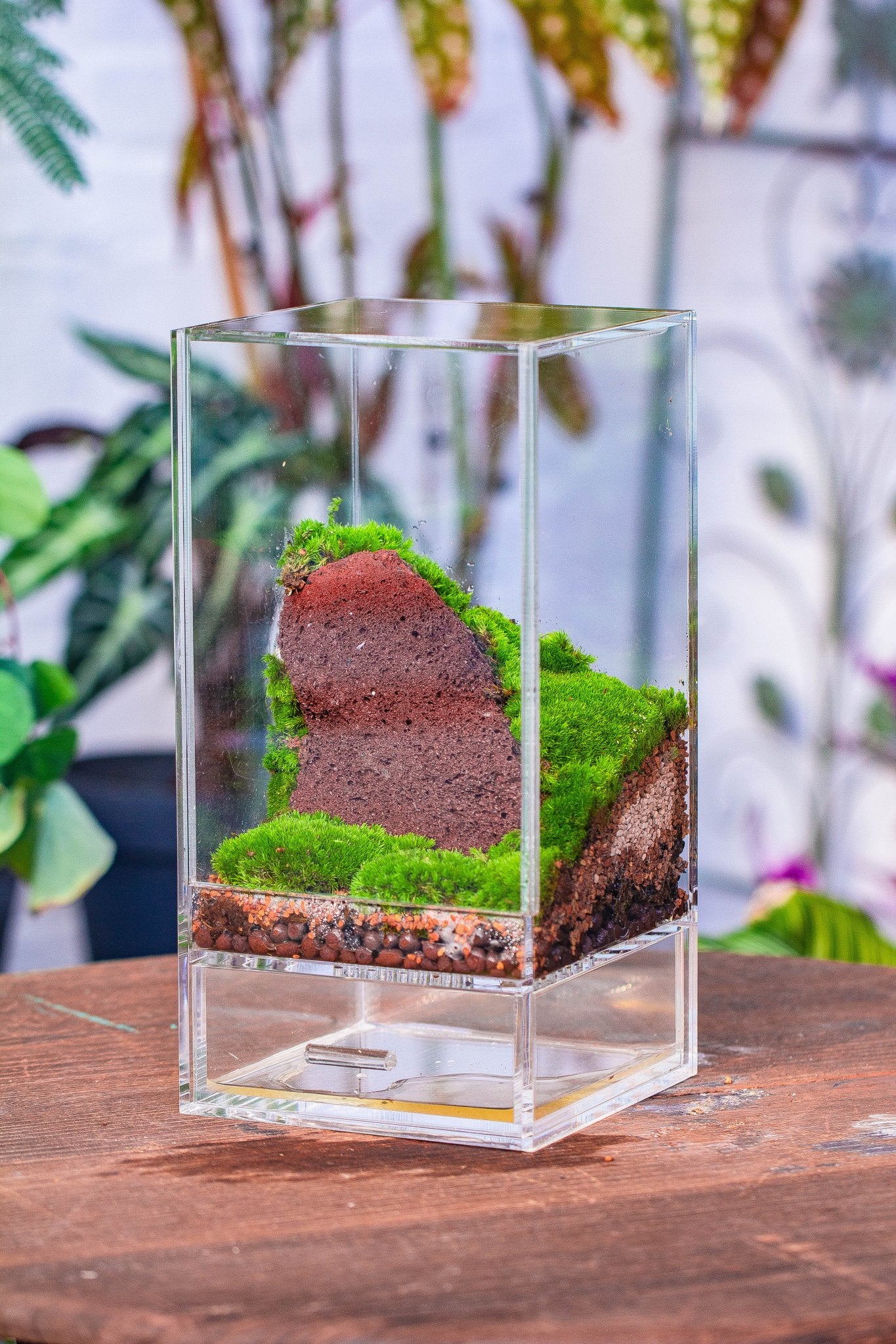 acrylic plant terrarium Acrylic Products