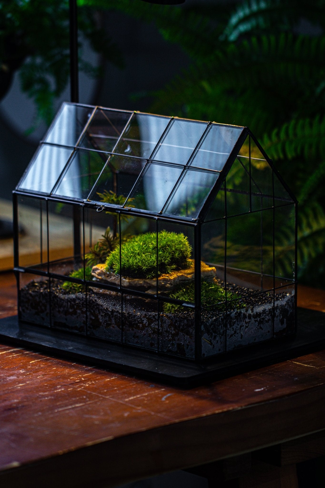 indoor plant glass house Handmade Glass Terrarium with LED Grow Light Set, Side Door Closed Geo – NCYPgarden