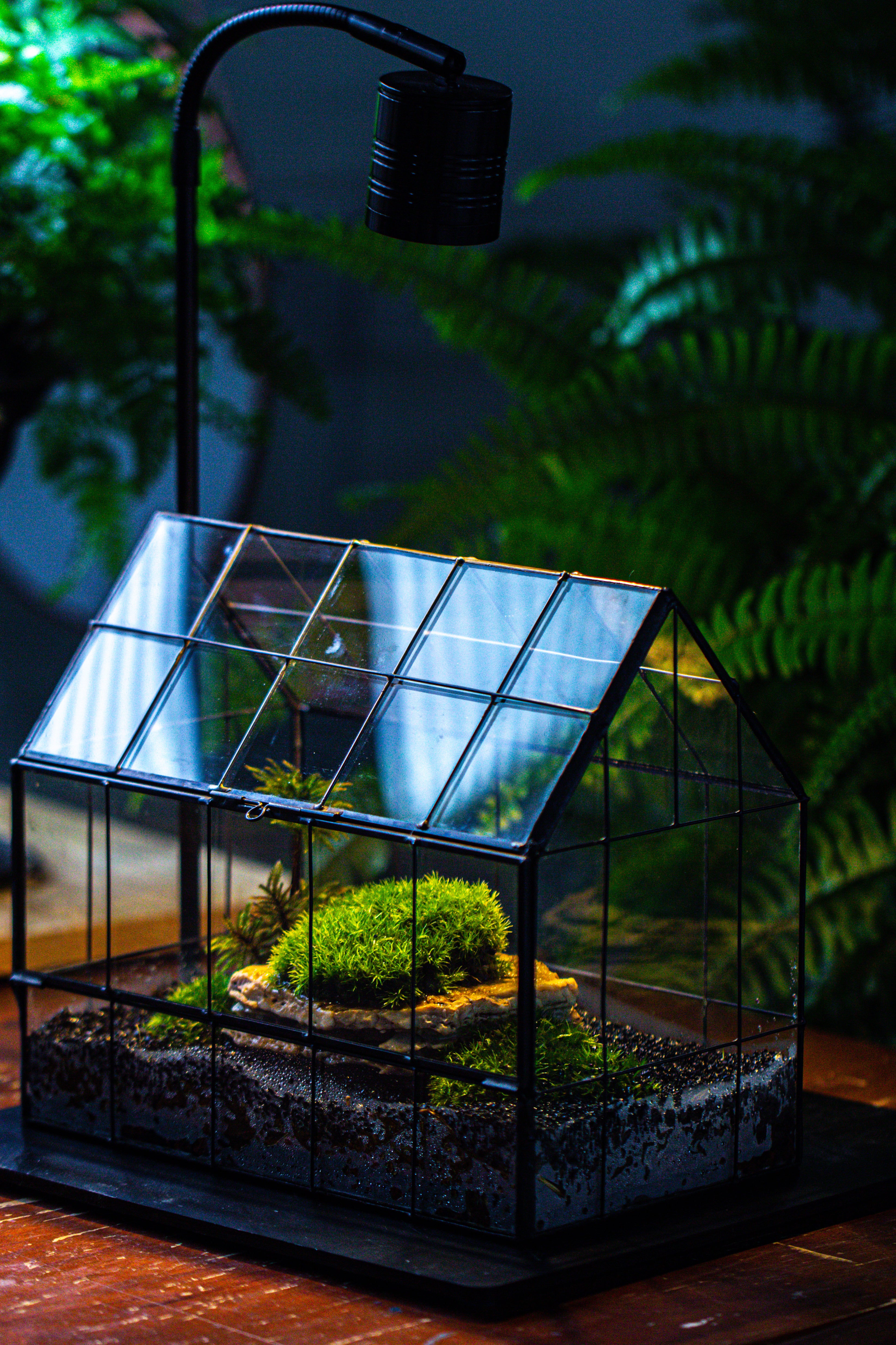 Handmade Glass Terrarium with LED Grow Light Set, Side Door Closed Geometric GreenHouse with Base and Light Set - NCYPgarden