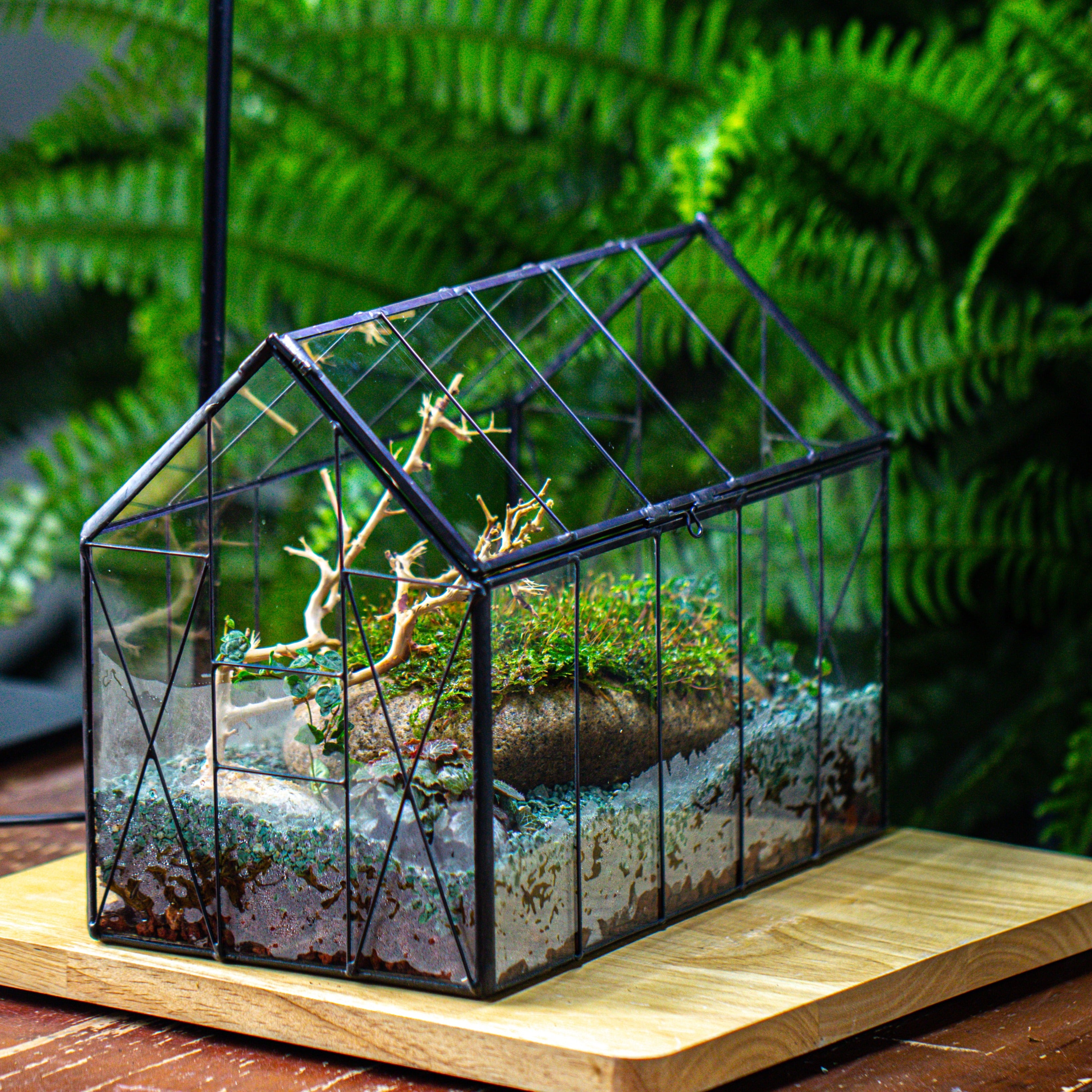 Handmade Vintage Greenhouse Inspired Tin Terrarium with LED Grow Light Set - NCYPgarden