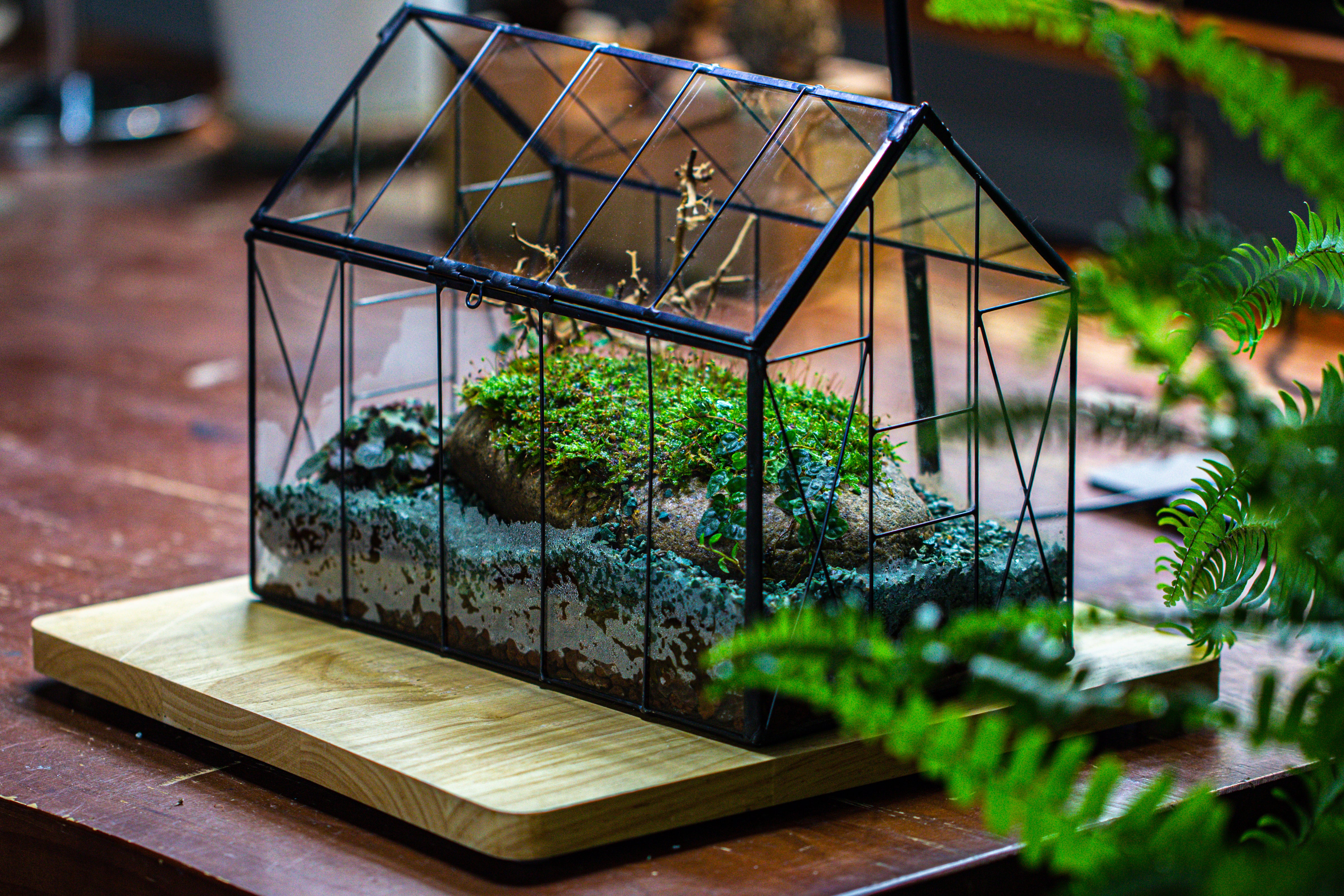 Handmade Vintage Greenhouse Inspired Tin Terrarium with LED Grow Light Set - NCYPgarden