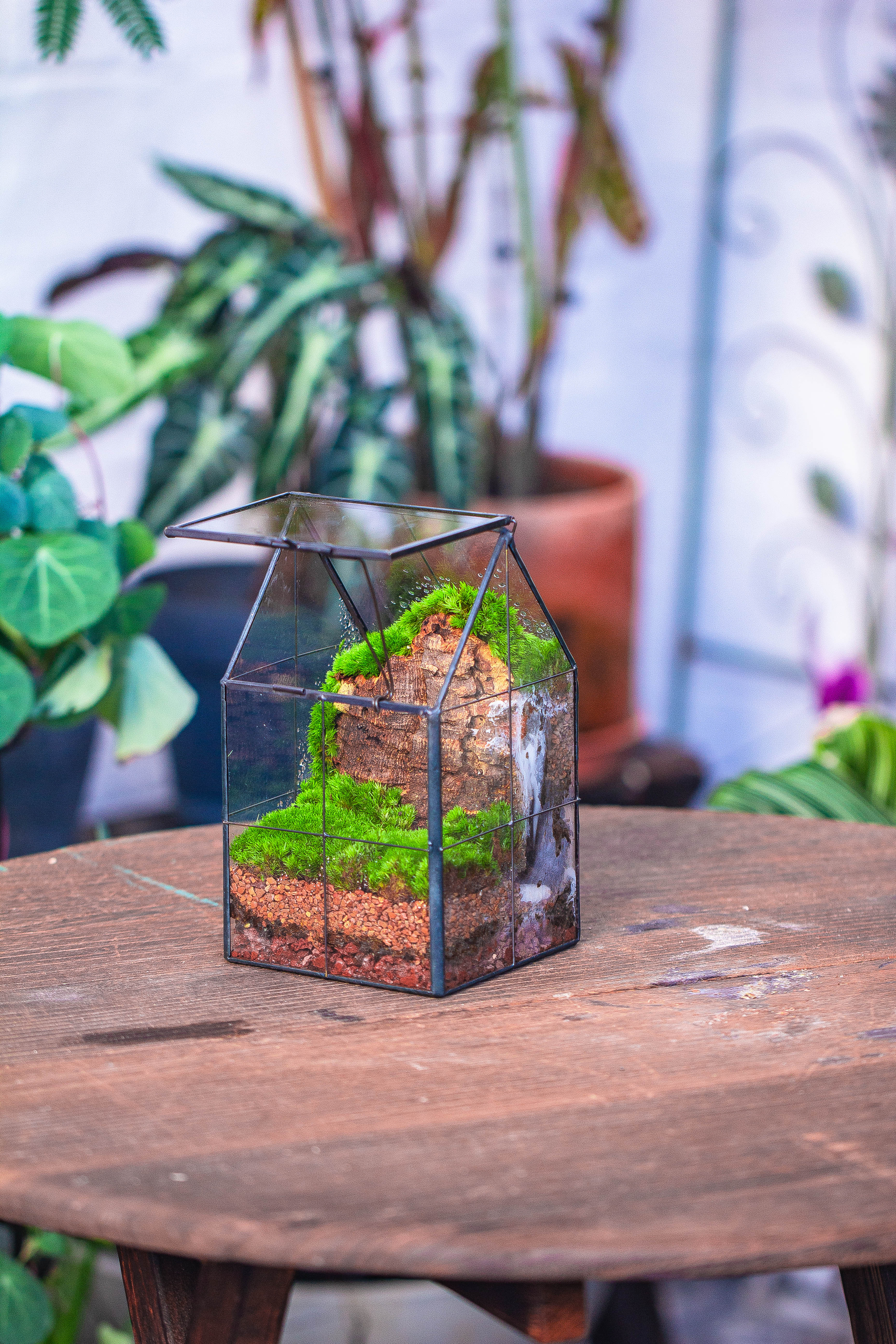 Handmade glass and tin close highe mini house shape close geometric terrarium for moss, succulents, Drosera - NCYPgarden