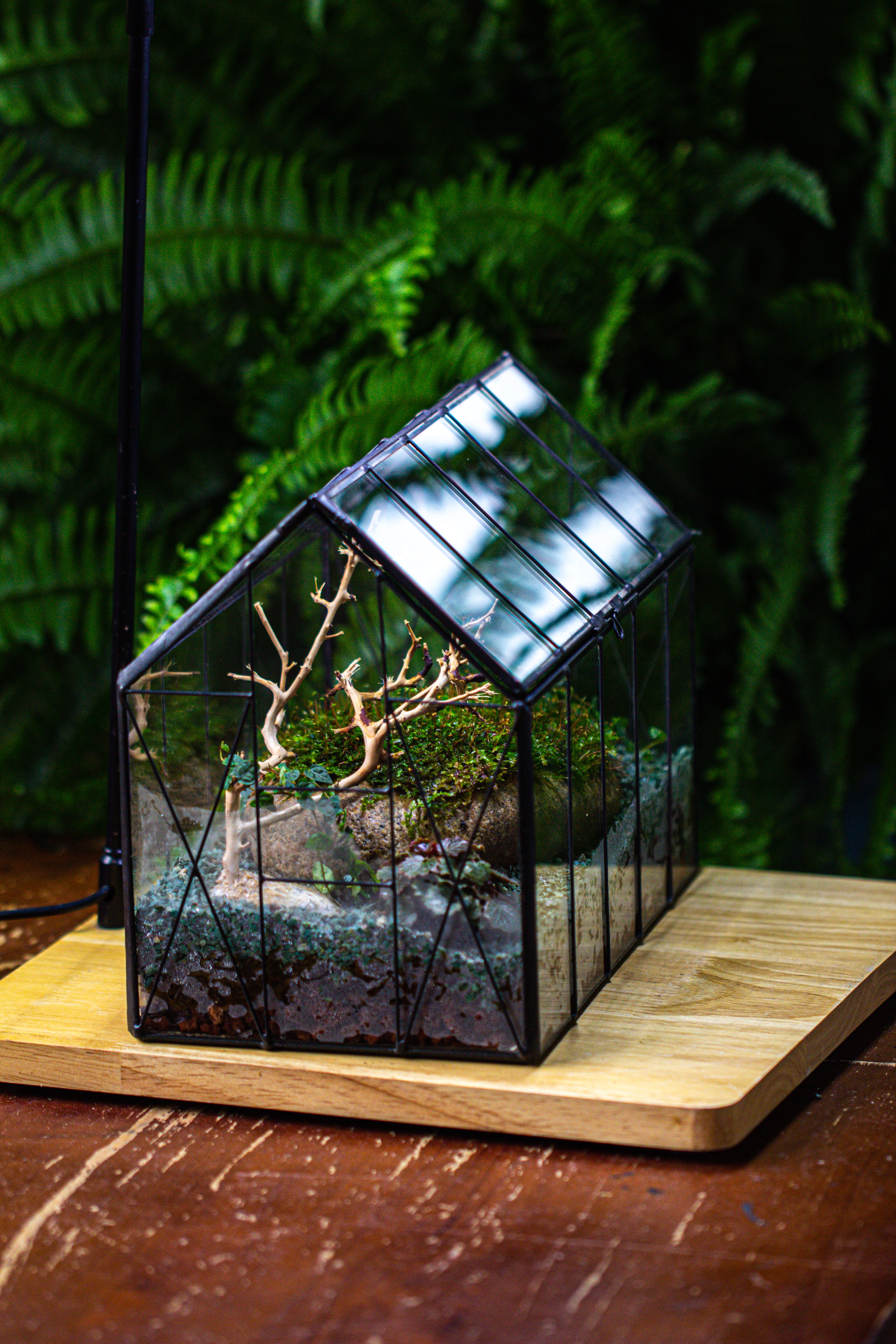 Handmade Vintage Greenhouse Inspired Tin Terrarium with LED Grow Light Set - NCYPgarden