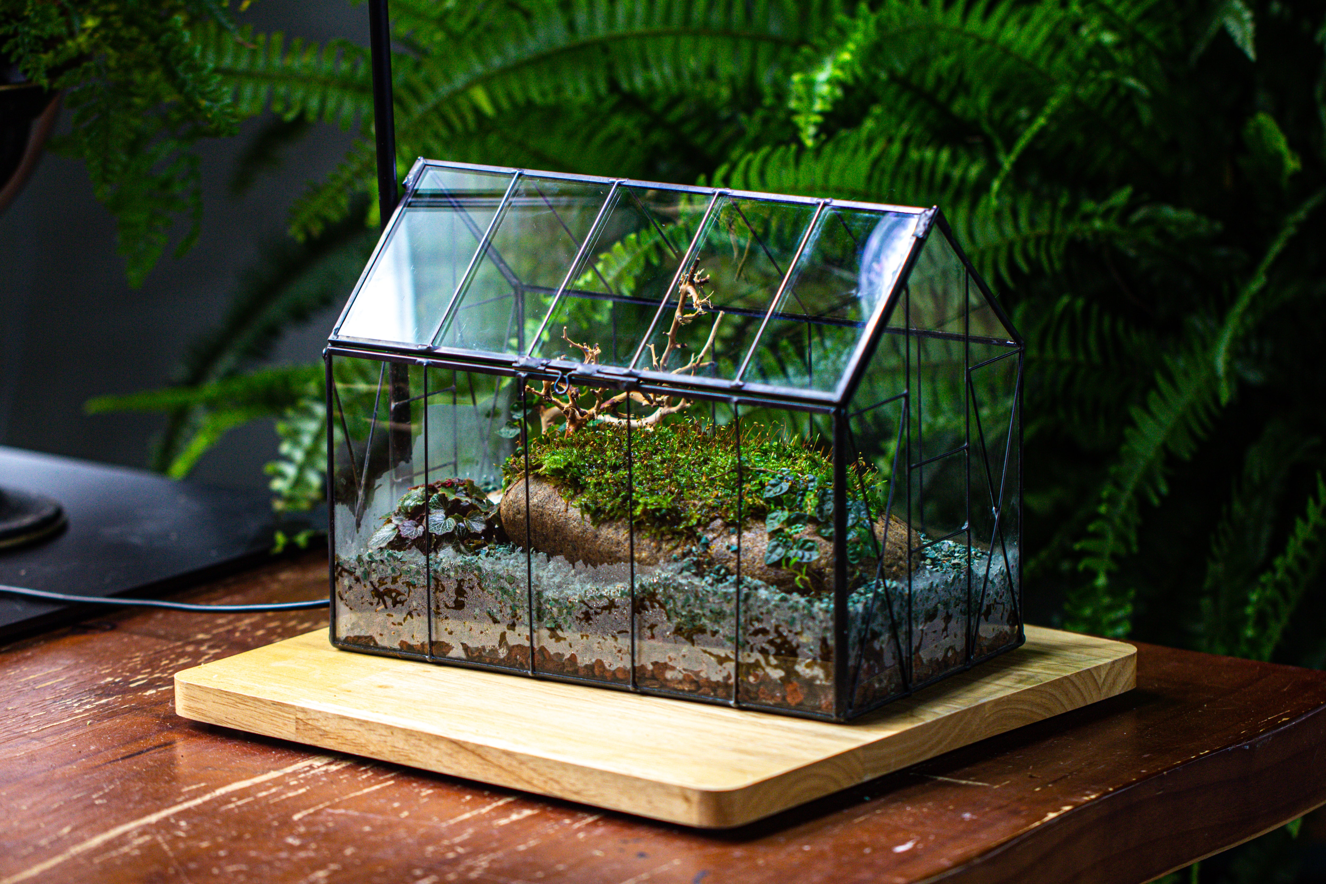 Handmade Vintage Greenhouse Inspired Tin Terrarium with LED Grow Light Set - NCYPgarden