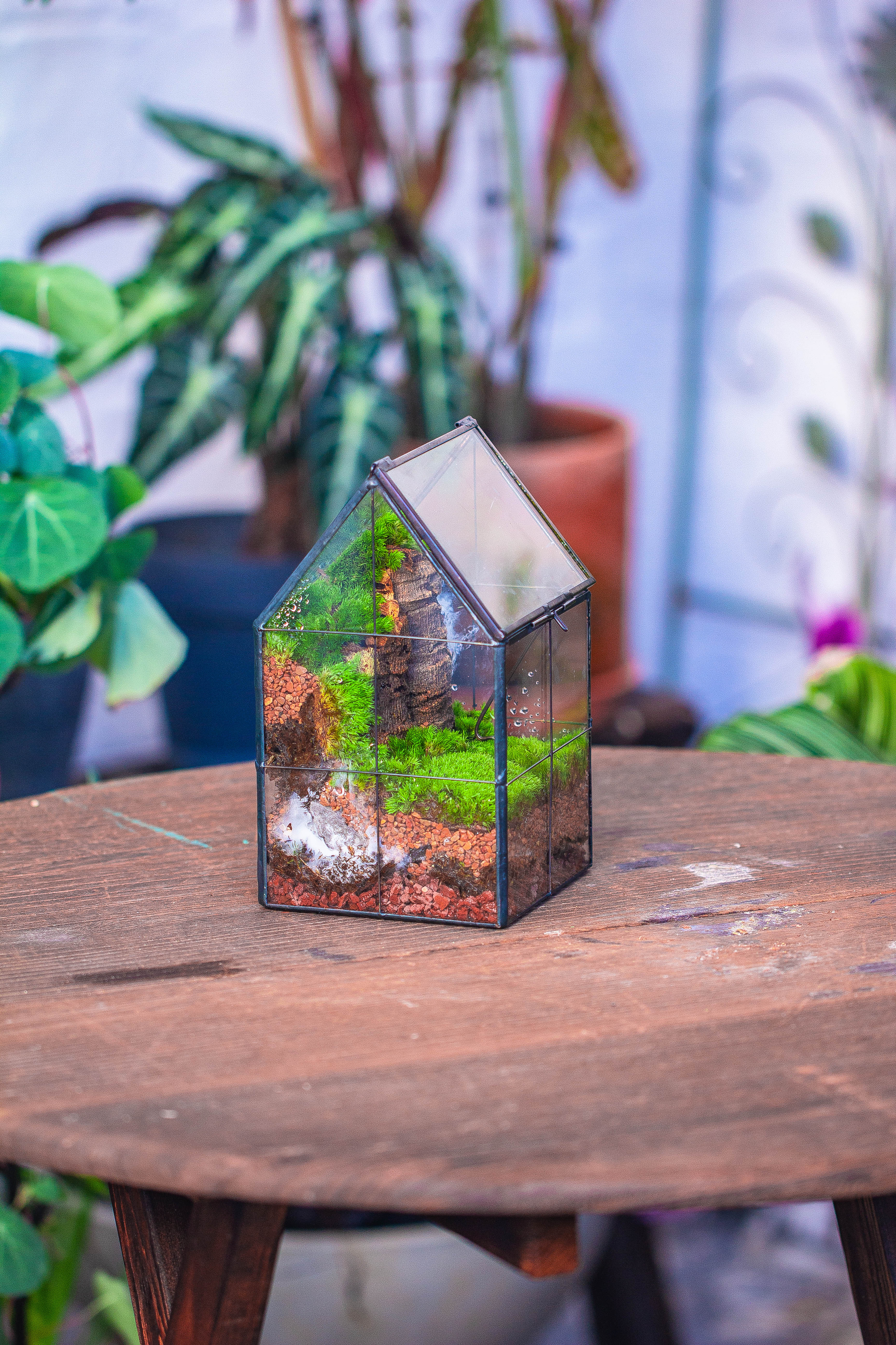 Handmade glass and tin close highe mini house shape close geometric terrarium for moss, succulents, Drosera - NCYPgarden