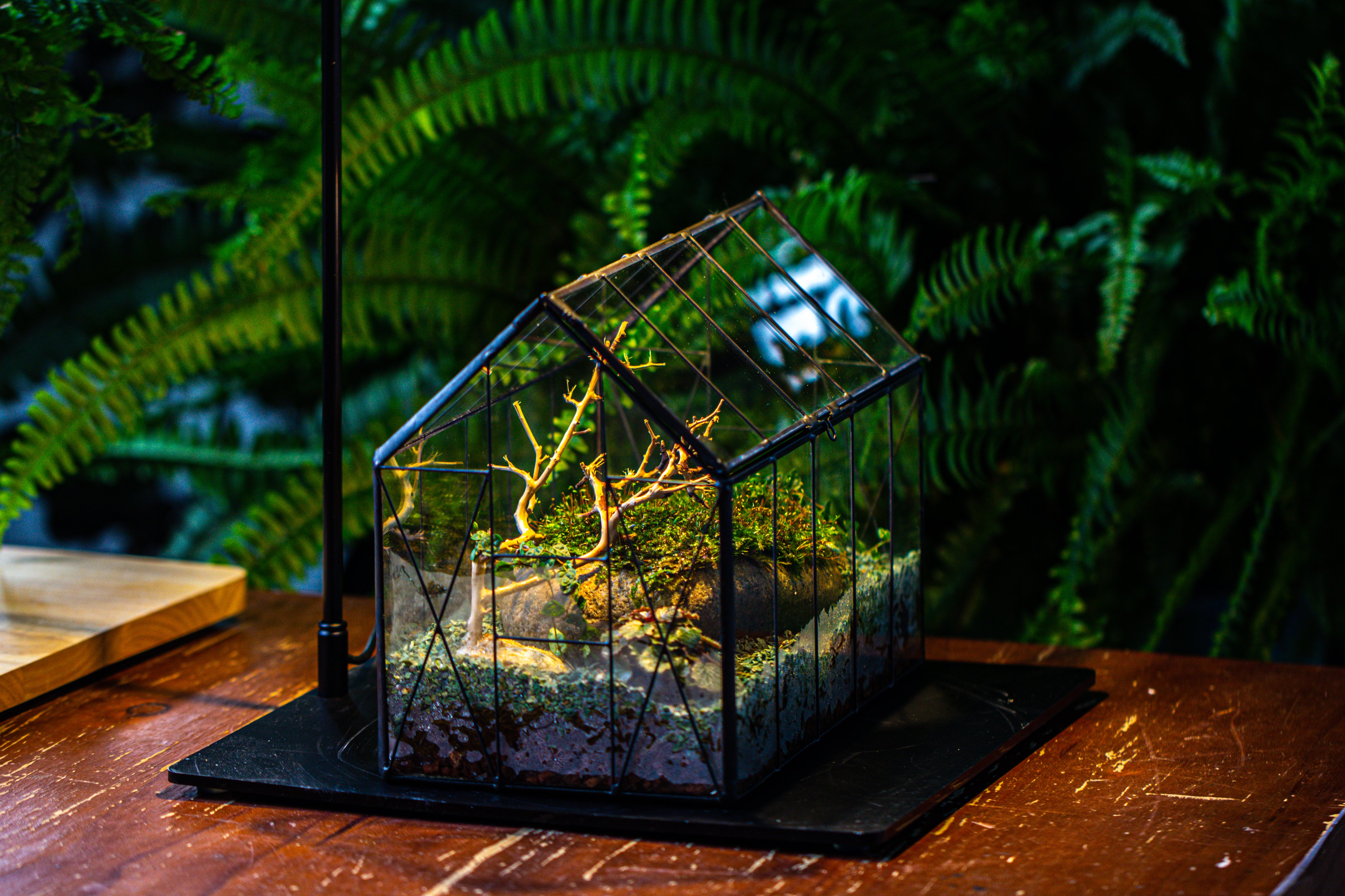 Handmade Vintage Greenhouse Inspired Tin Terrarium with LED Grow Light Set - NCYPgarden