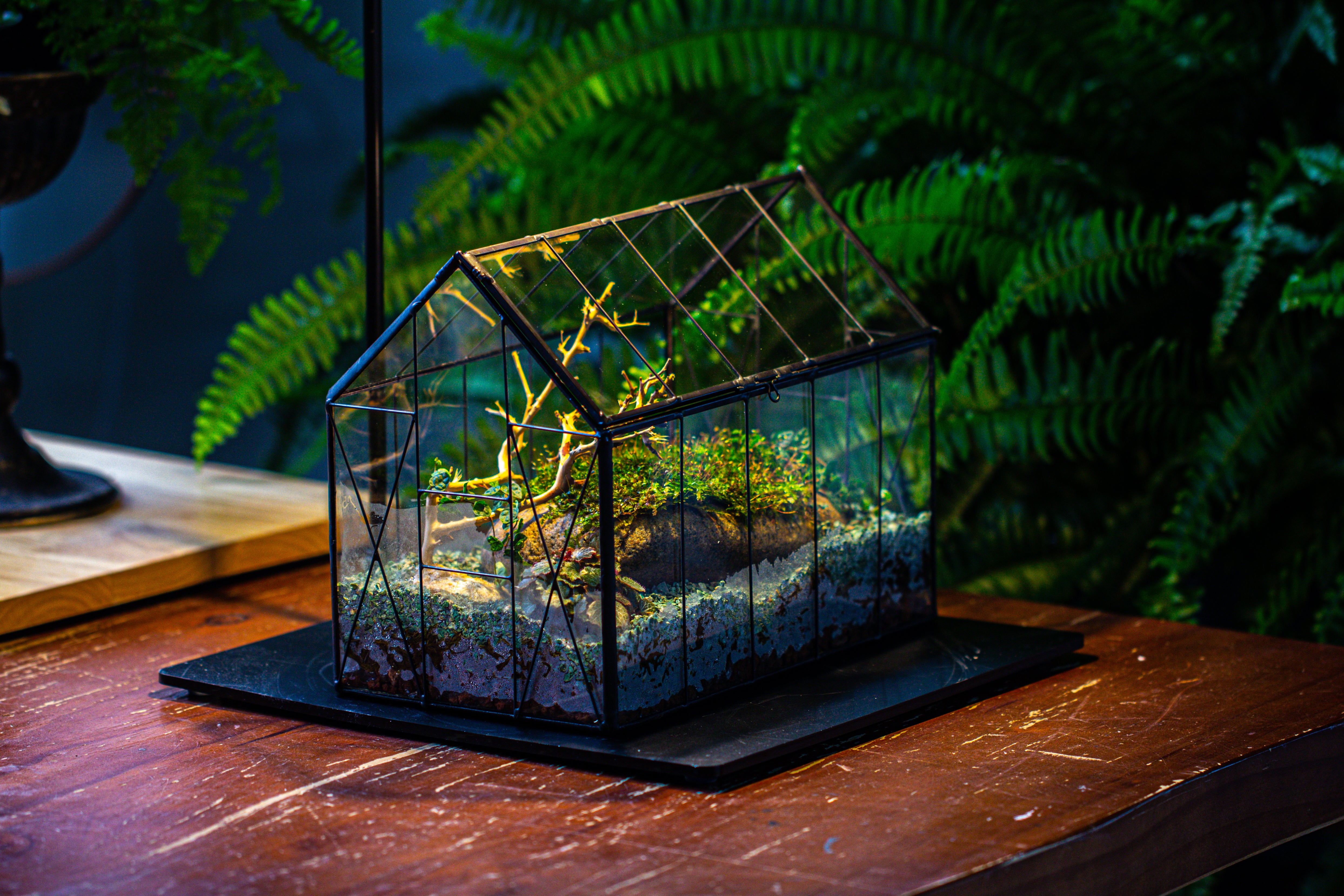 Handmade Vintage Greenhouse Inspired Tin Terrarium with LED Grow Light Set - NCYPgarden