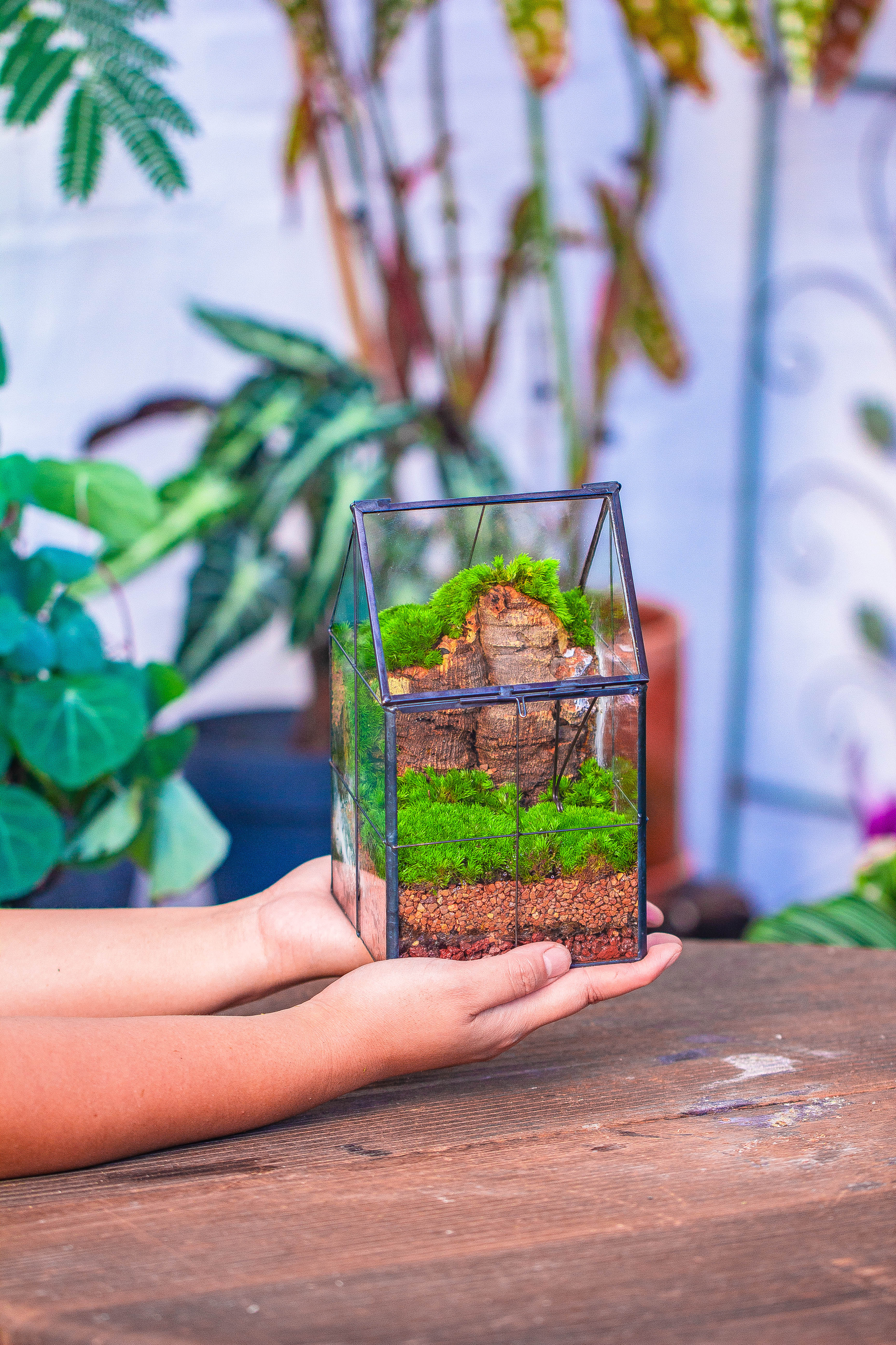 Handmade glass and tin close highe mini house shape close geometric terrarium for moss, succulents, Drosera - NCYPgarden
