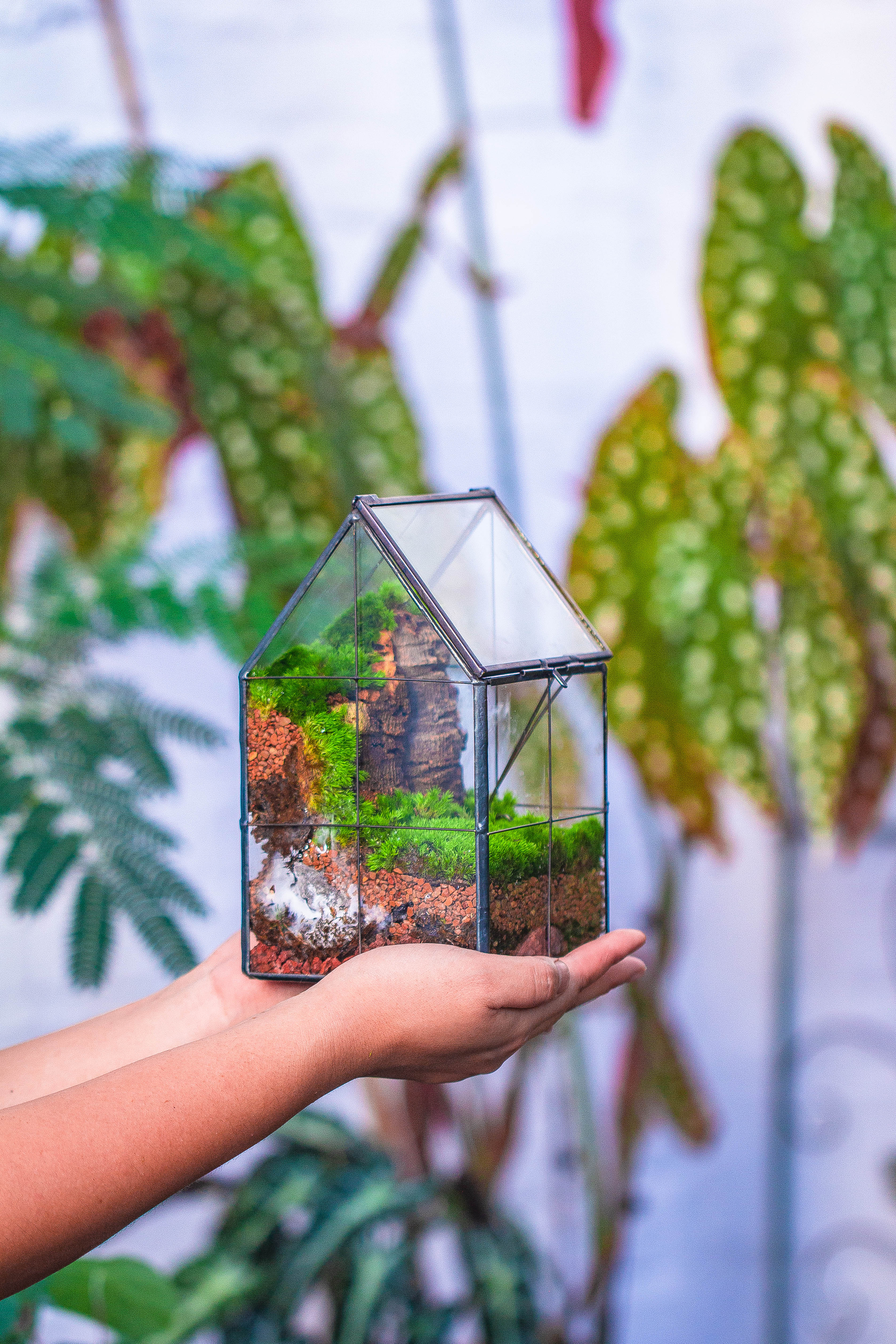 Handmade glass and tin close highe mini house shape close geometric terrarium for moss, succulents, Drosera - NCYPgarden