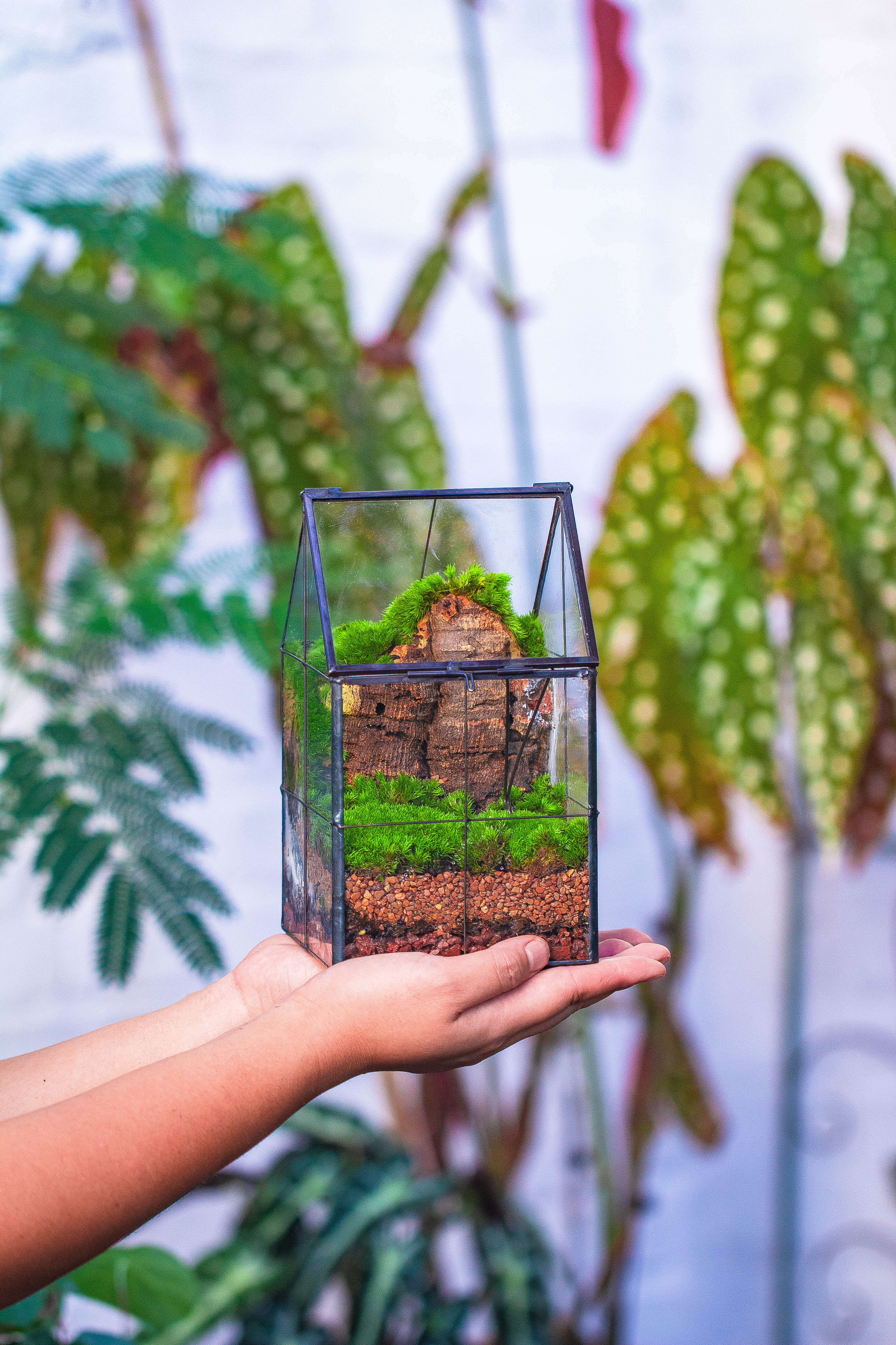 Handmade glass and tin close highe mini house shape close geometric terrarium for moss, succulents, Drosera - NCYPgarden