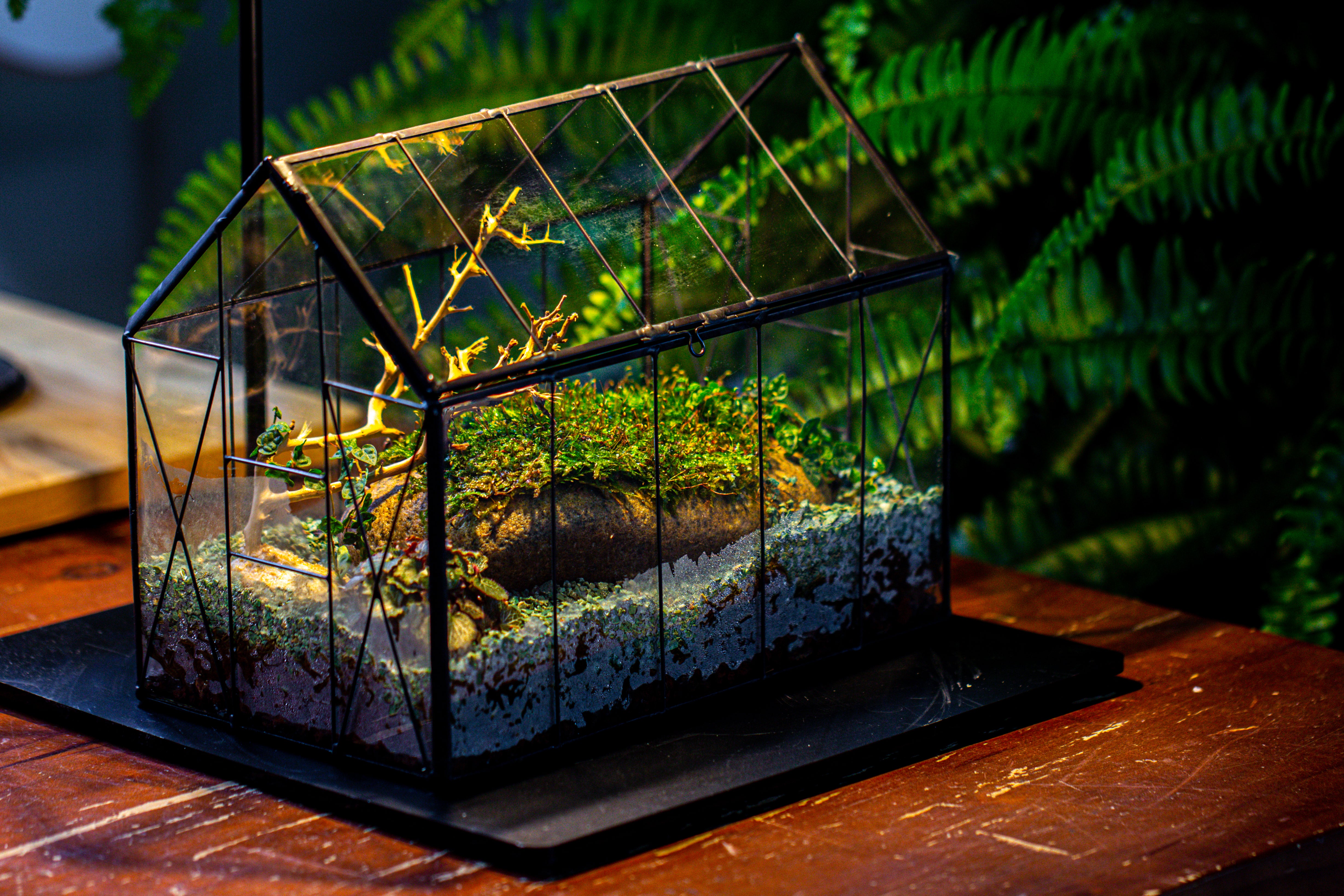 Handmade Vintage Greenhouse Inspired Tin Terrarium with LED Grow Light Set - NCYPgarden