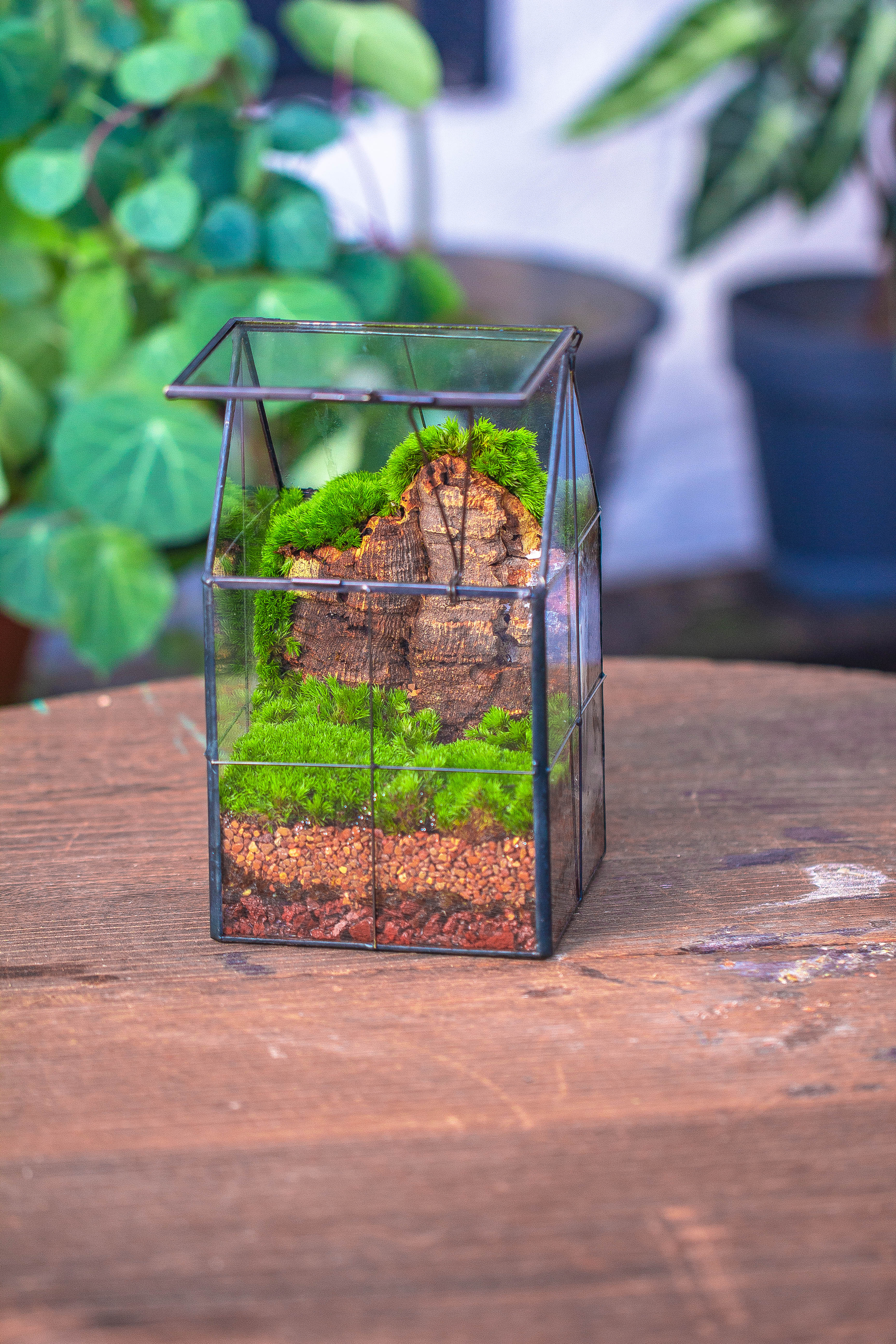 Handmade glass and tin close highe mini house shape close geometric terrarium for moss, succulents, Drosera - NCYPgarden