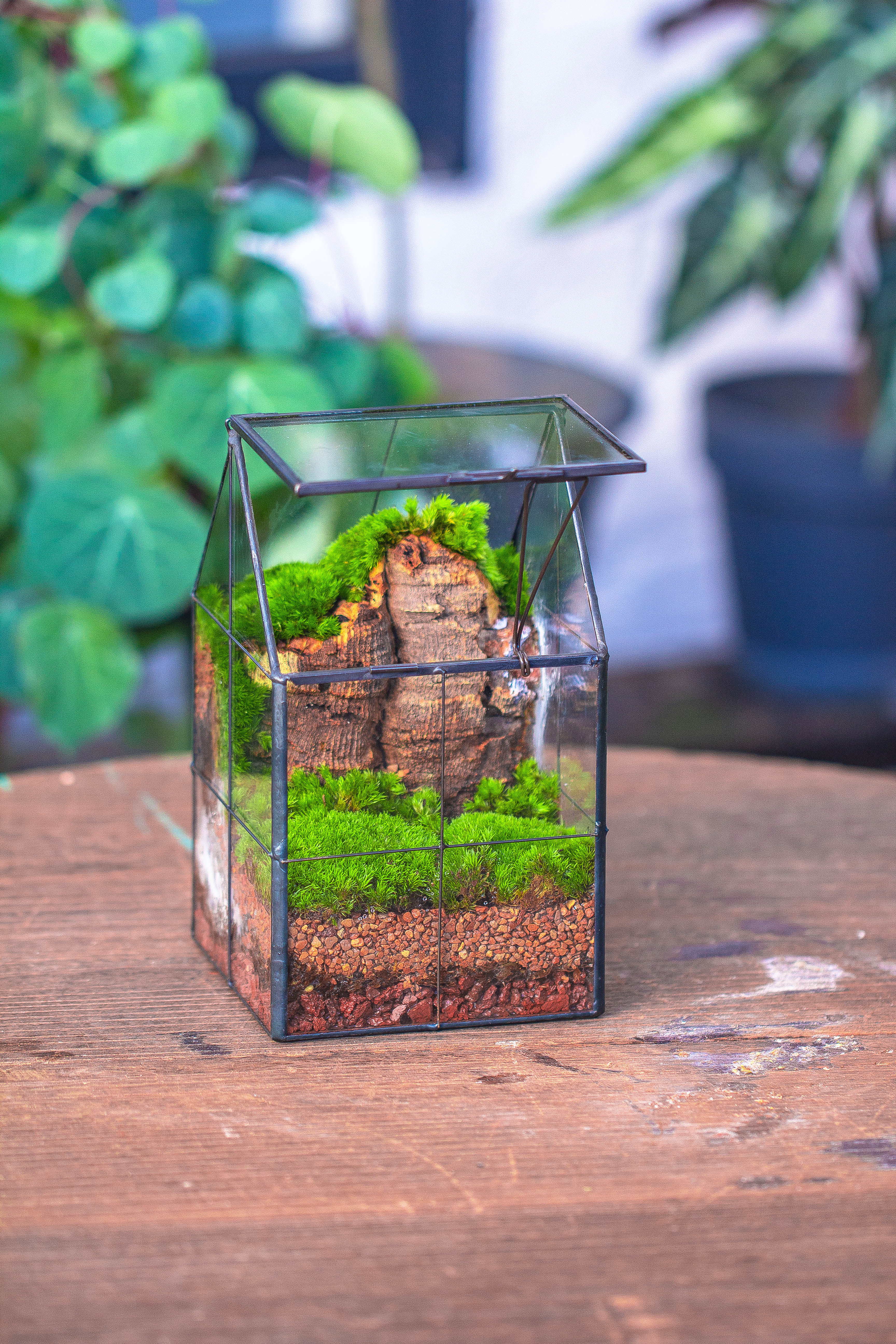 Handmade glass and tin close highe mini house shape close geometric terrarium for moss, succulents, Drosera - NCYPgarden