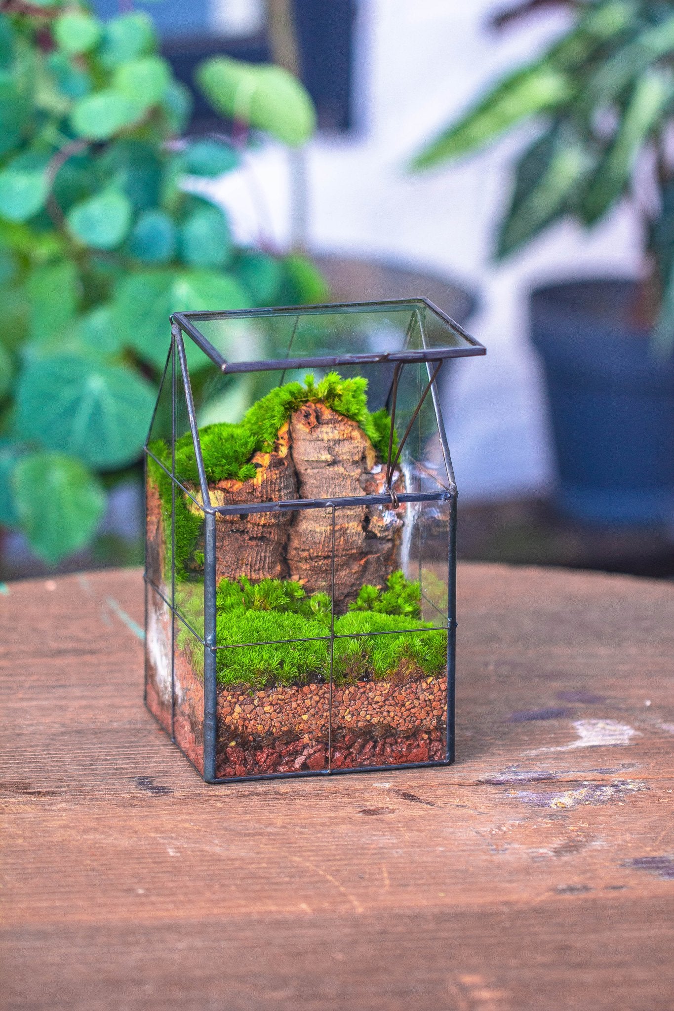 micro mini terrarium plants Handmade glass and tin close highe mini house shape close geometric terrarium for moss, succulents, Drosera