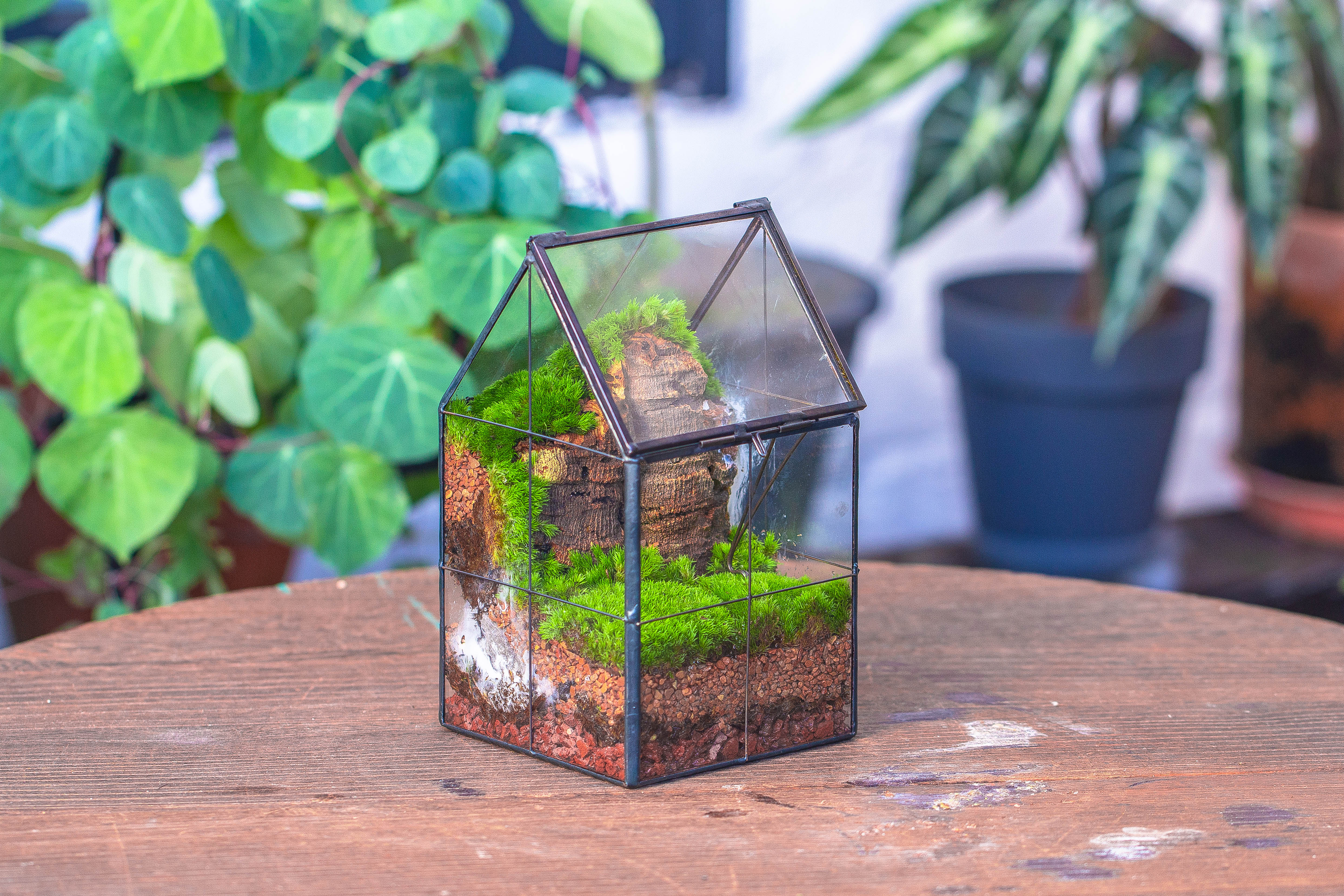 Handmade glass and tin close highe mini house shape close geometric terrarium for moss, succulents, Drosera - NCYPgarden