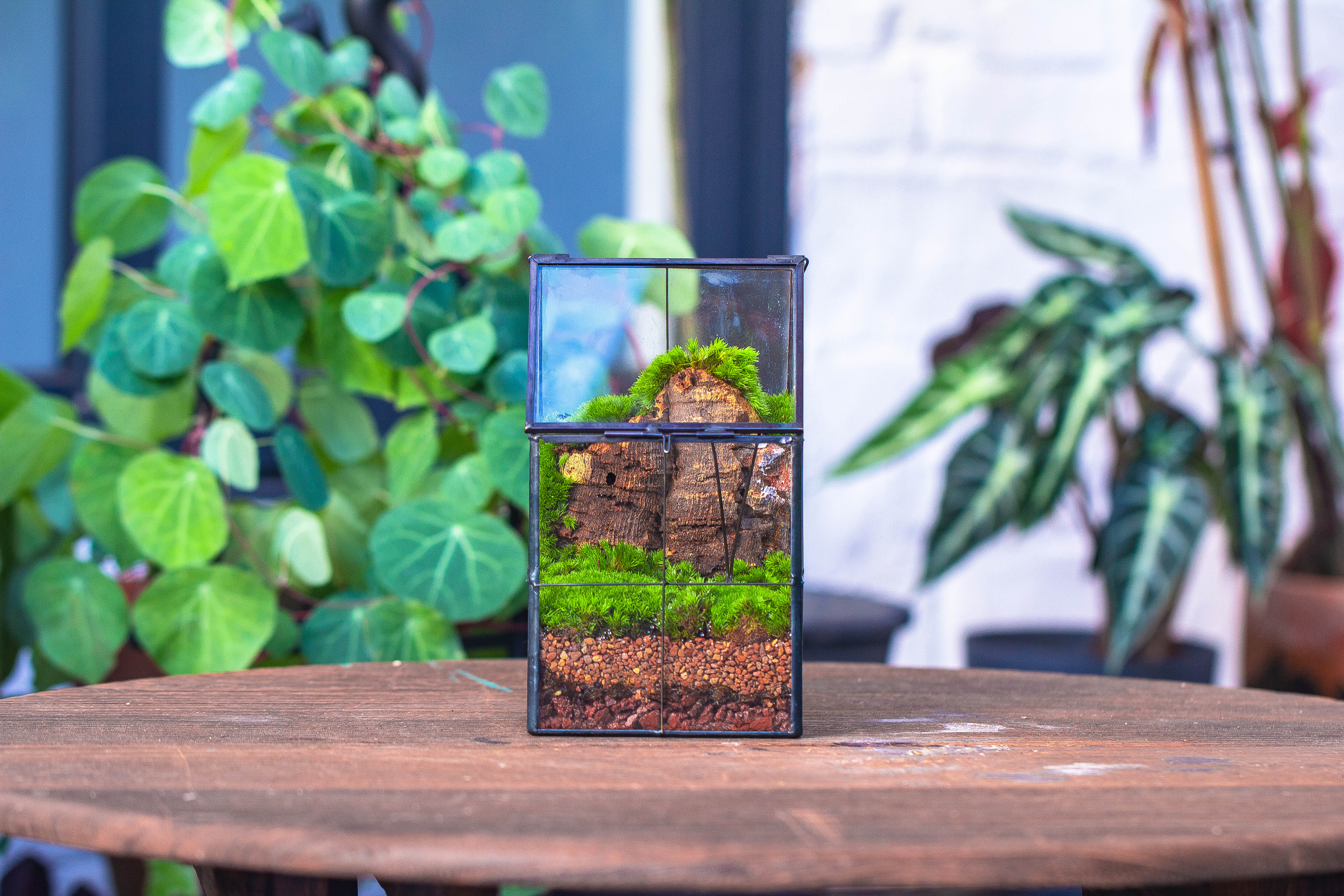 Handmade glass and tin close highe mini house shape close geometric terrarium for moss, succulents, Drosera - NCYPgarden