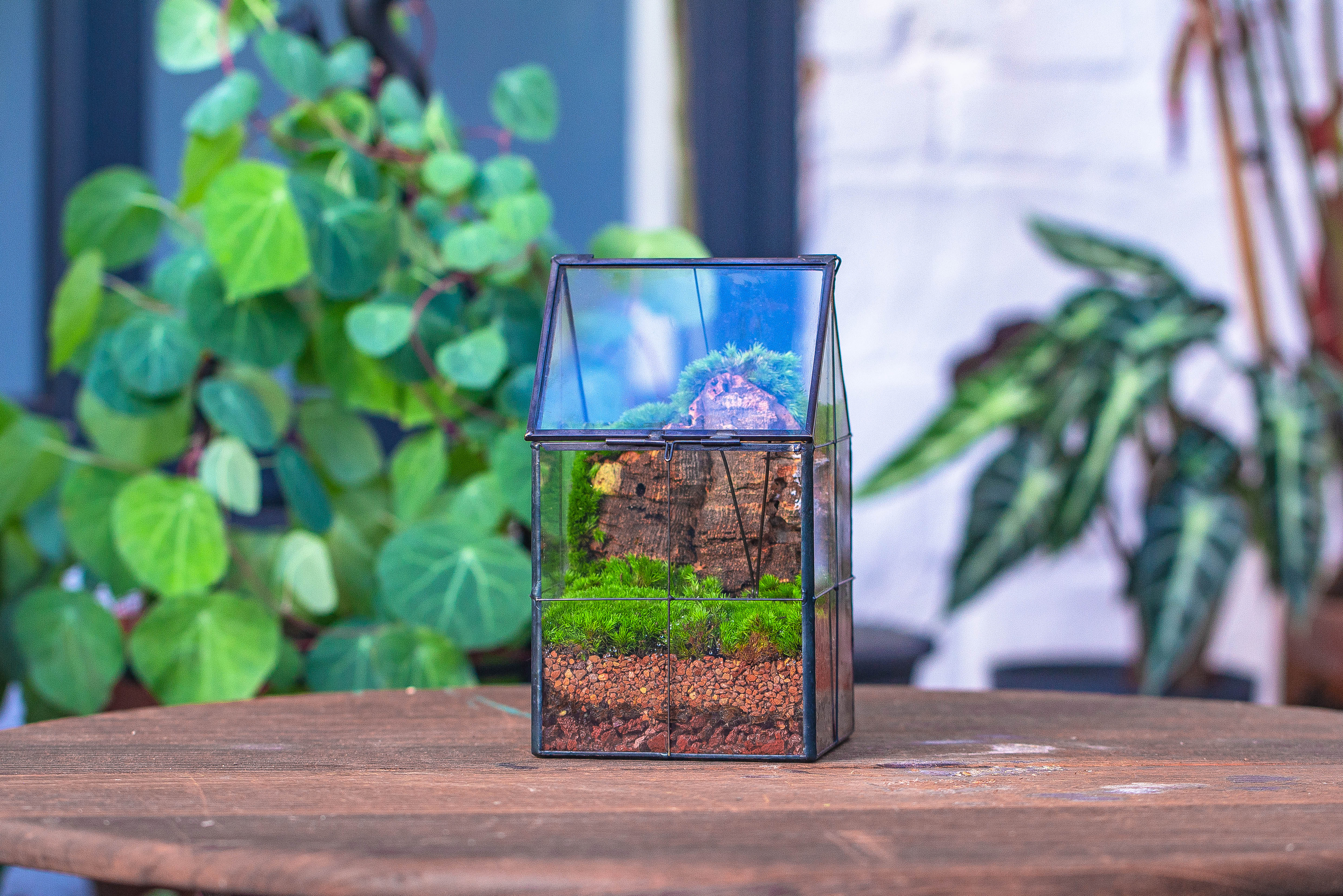 Handmade glass and tin close highe mini house shape close geometric terrarium for moss, succulents, Drosera - NCYPgarden