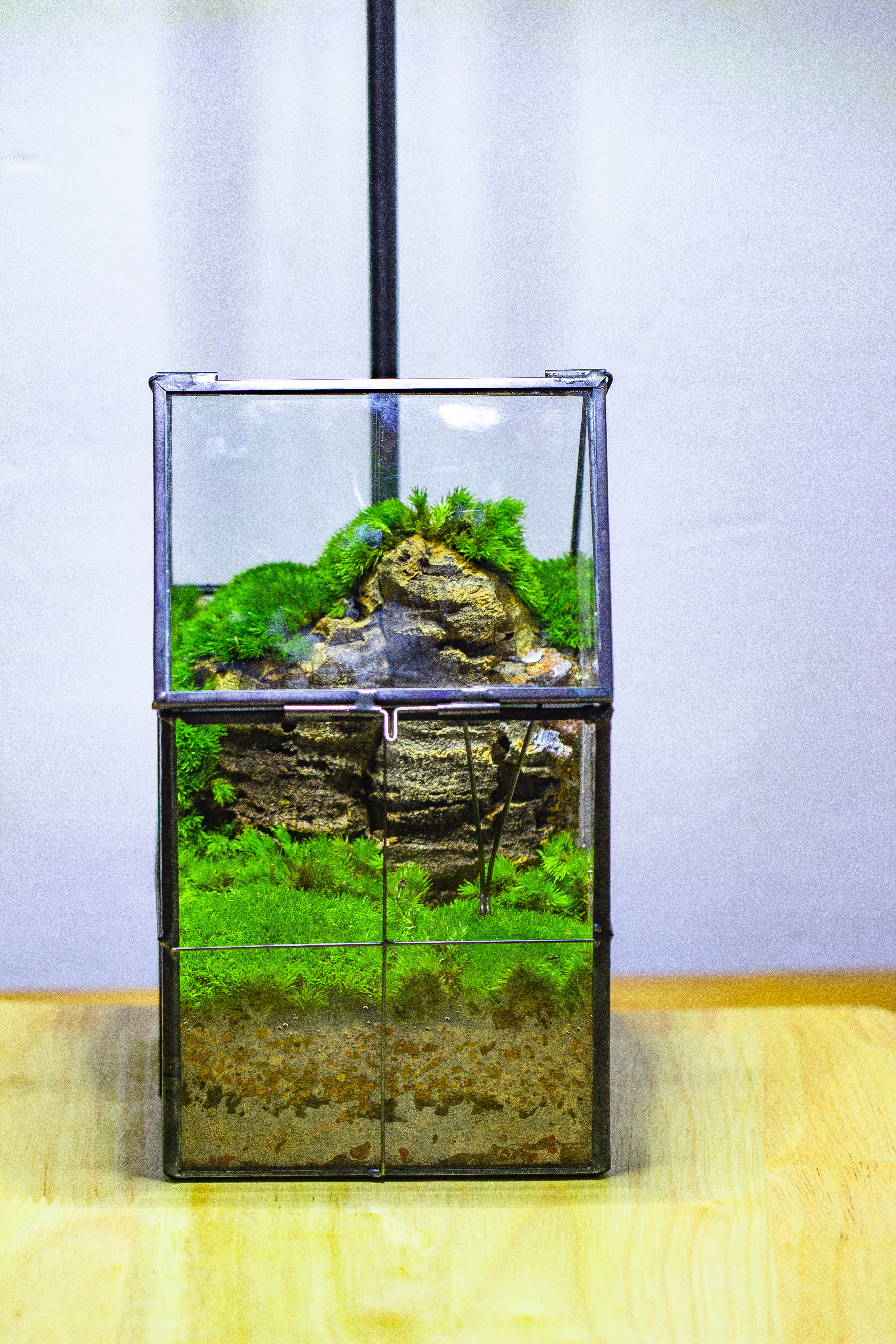 Handmade glass and tin close highe mini house shape close geometric terrarium for moss, succulents, Drosera - NCYPgarden