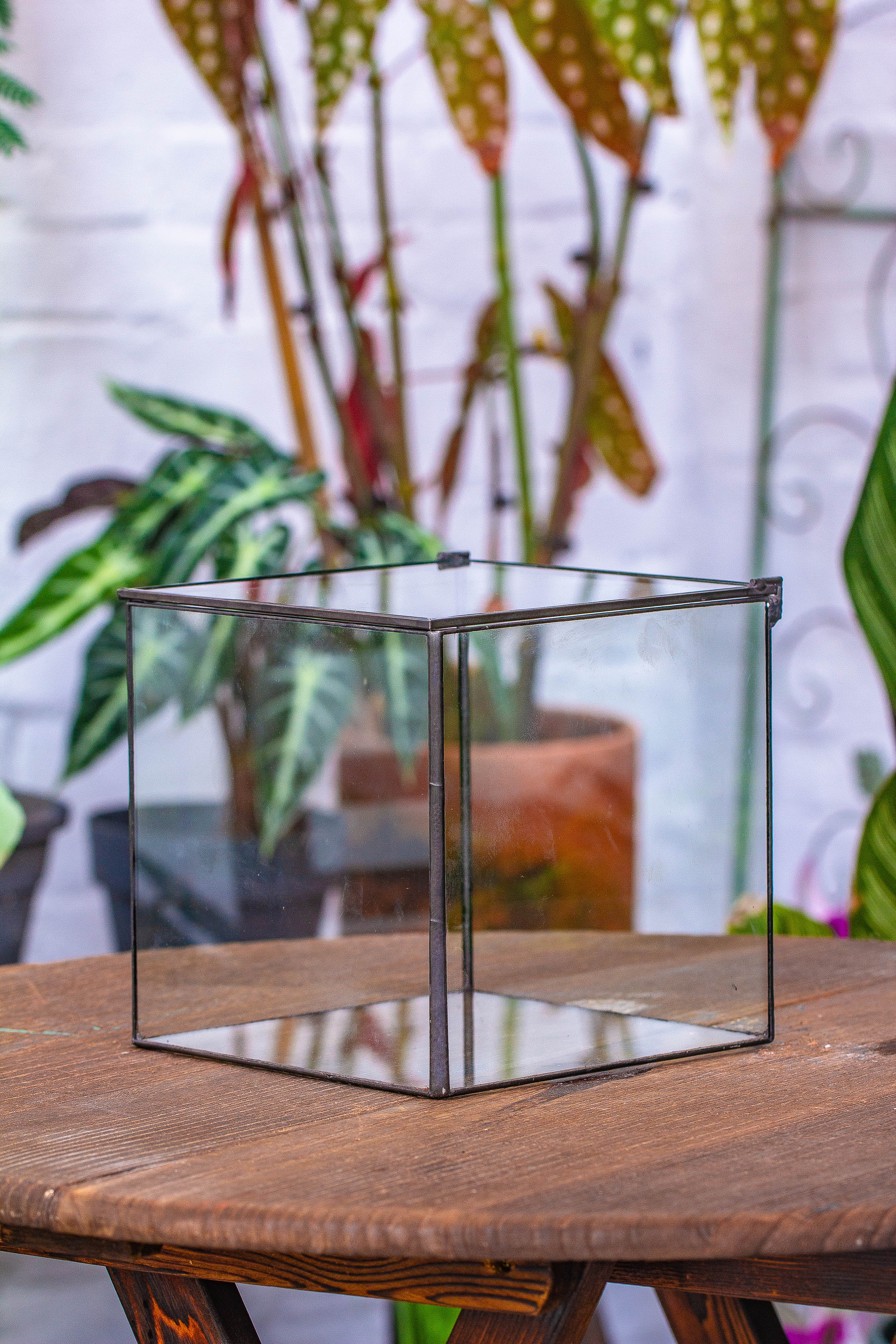 NCYP Watertight Close Cube 7" Geometric Glass Tin Terrarium, for small waterpond, moss landscape, Live Miniature, water pond, landscape - NCYPgarden