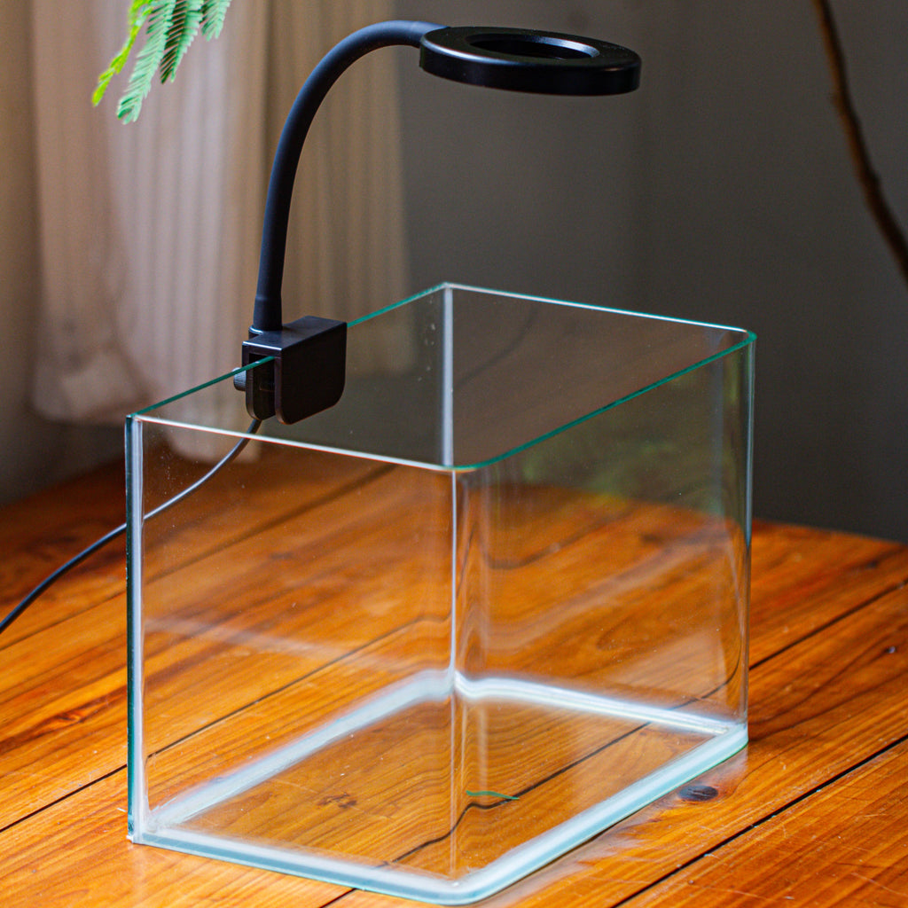 IMG_3966_1024x.jpg?v=1723183304