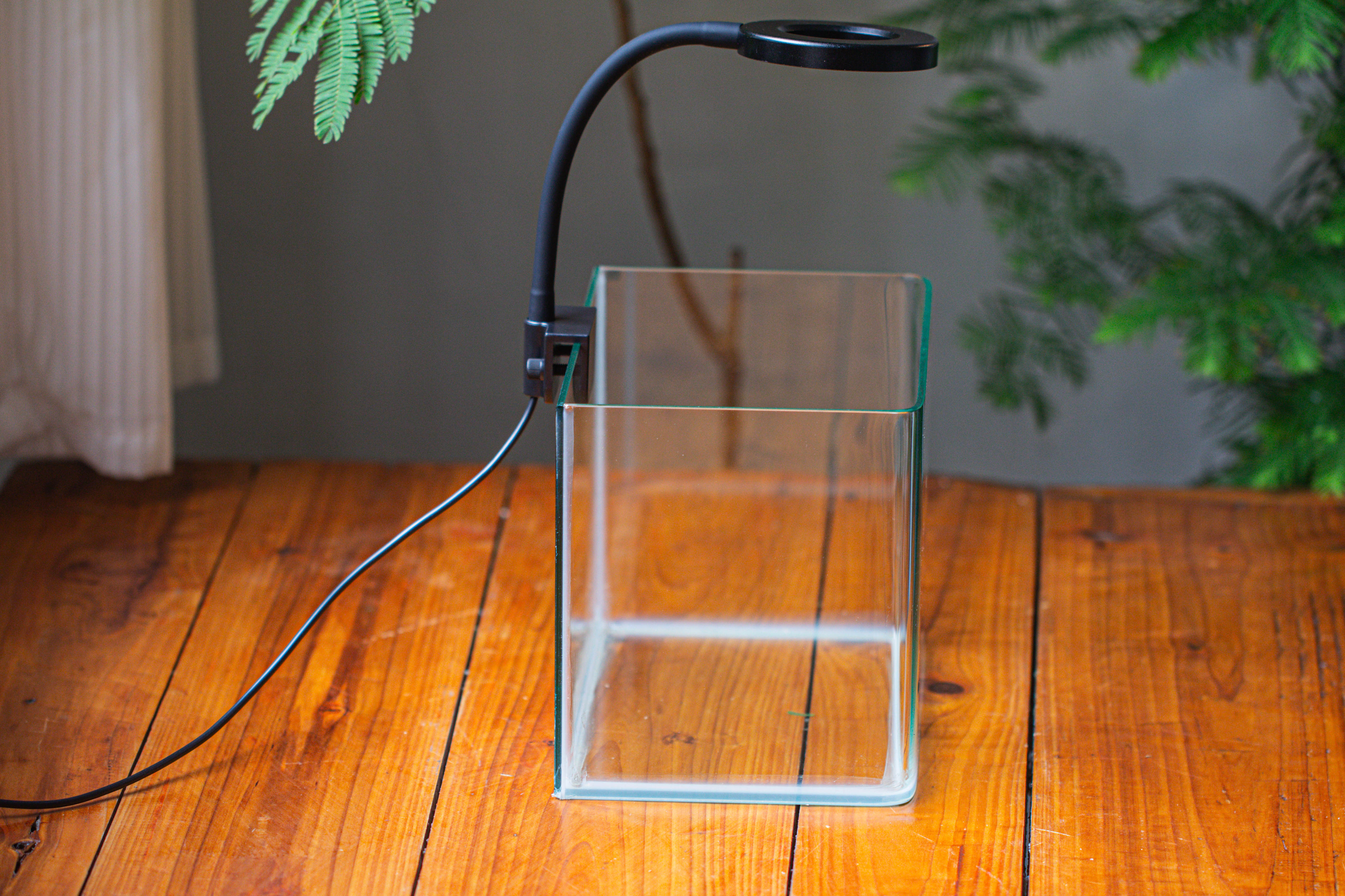 Open Moss Terrarium Building DIY Set with LED for Carnivorous Plants: pitcher - NCYPgarden