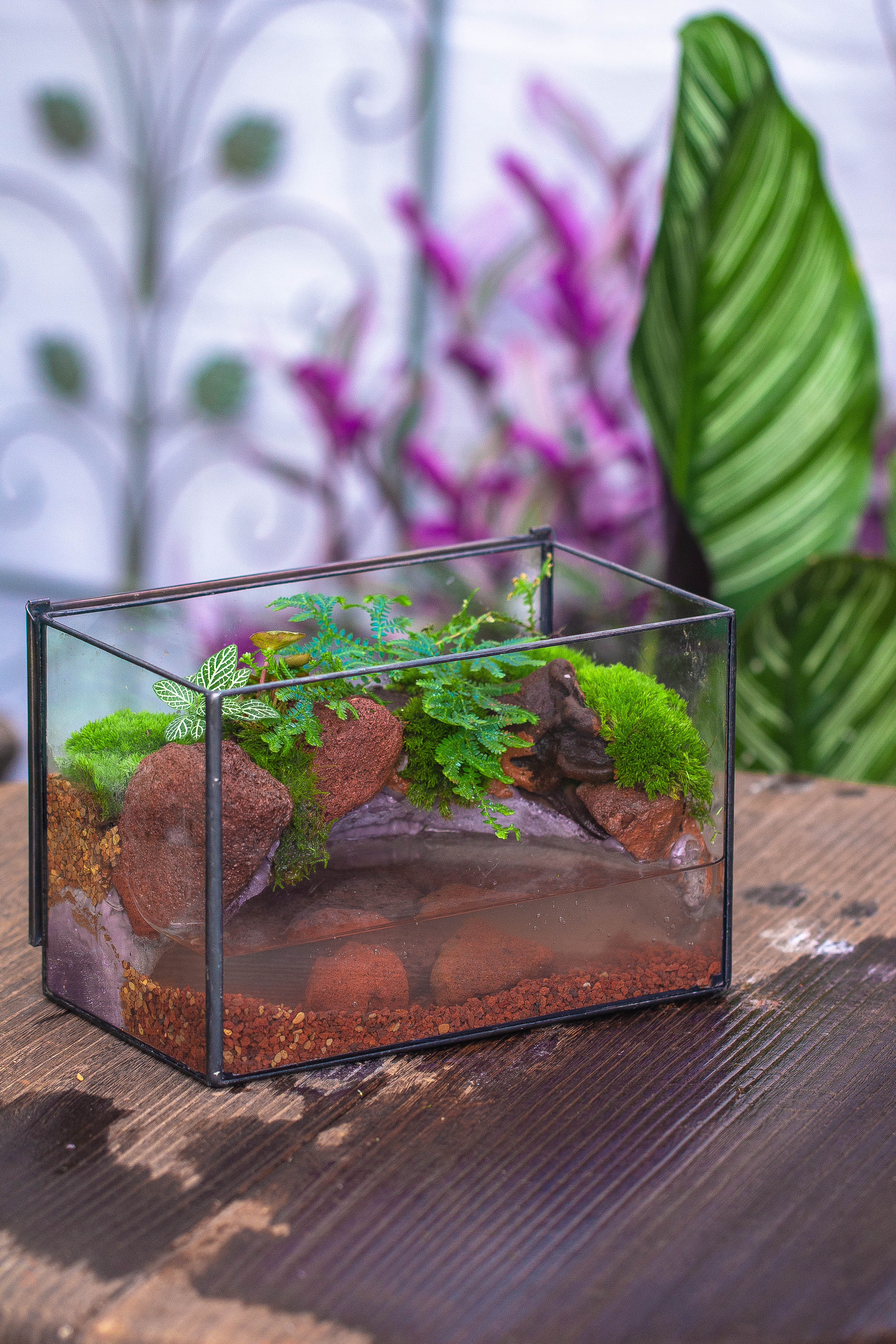 NCYP Watertight Close Rectangle Geometric Glass Tin Terrarium, for small waterpond, moss landscape, Live Miniature, water pond, landscape - NCYPgarden