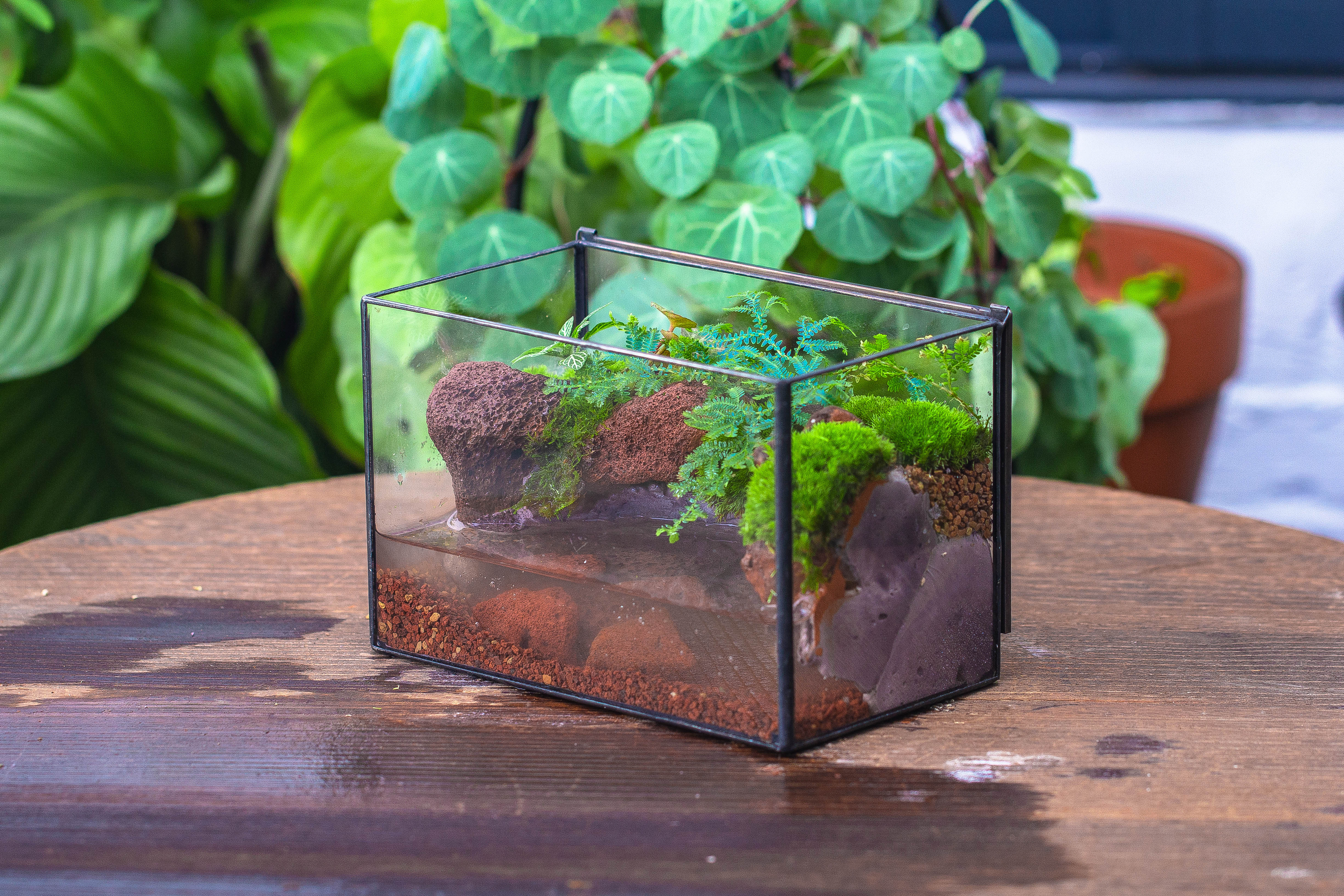 NCYP Watertight Close Rectangle Geometric Glass Tin Terrarium, for small waterpond, moss landscape, Live Miniature, water pond, landscape - NCYPgarden