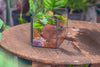 NCYP Watertight Close Rectangle Geometric Glass Tin Terrarium, for small waterpond, moss landscape, Live Miniature, water pond, landscape - NCYPgarden