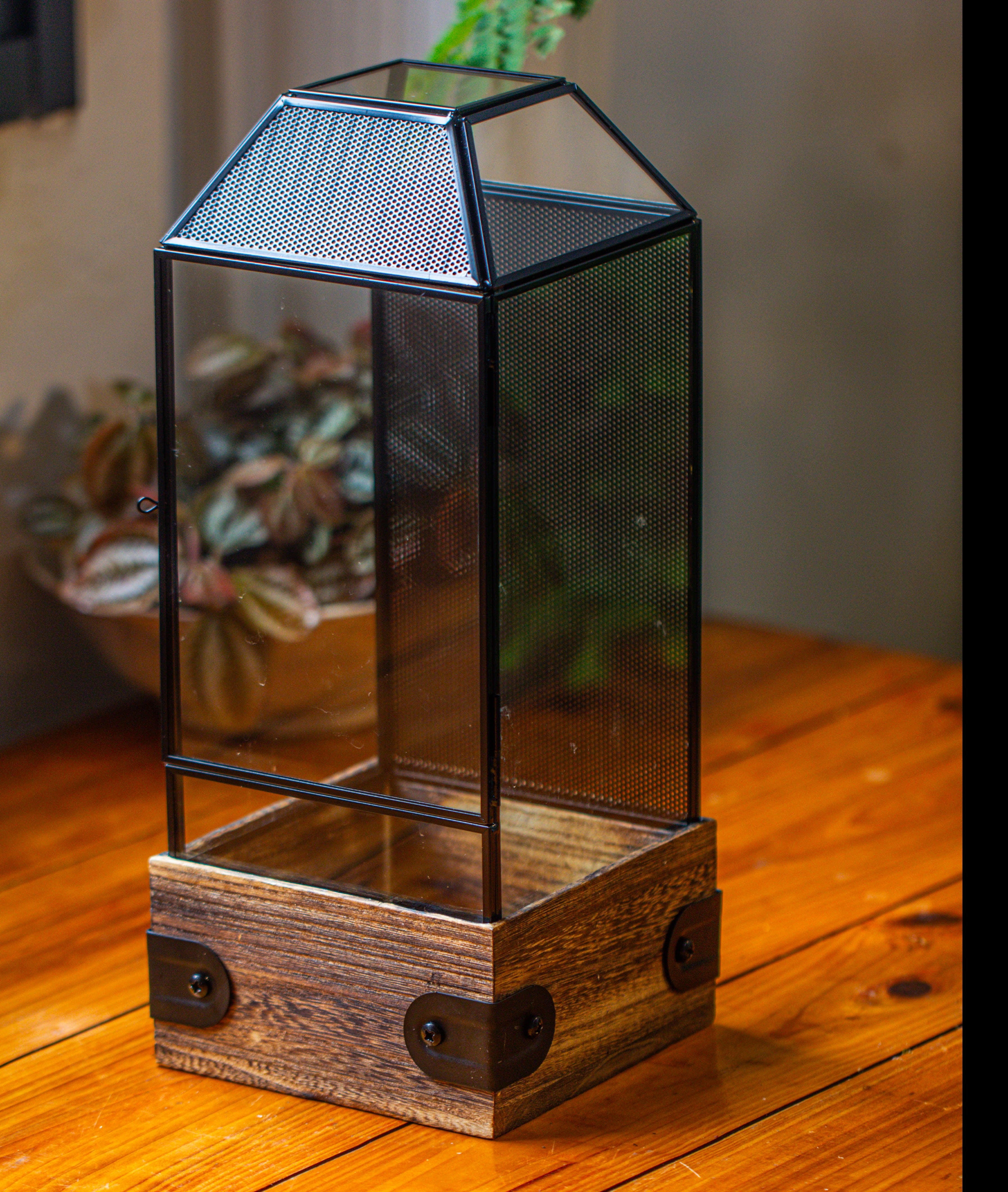 Handmade Glass Terrarium with Wood Base, Geometric Jumping Spider Enclosure, with Mesh Vent, for Plants, Snail, Insects - NCYPgarden