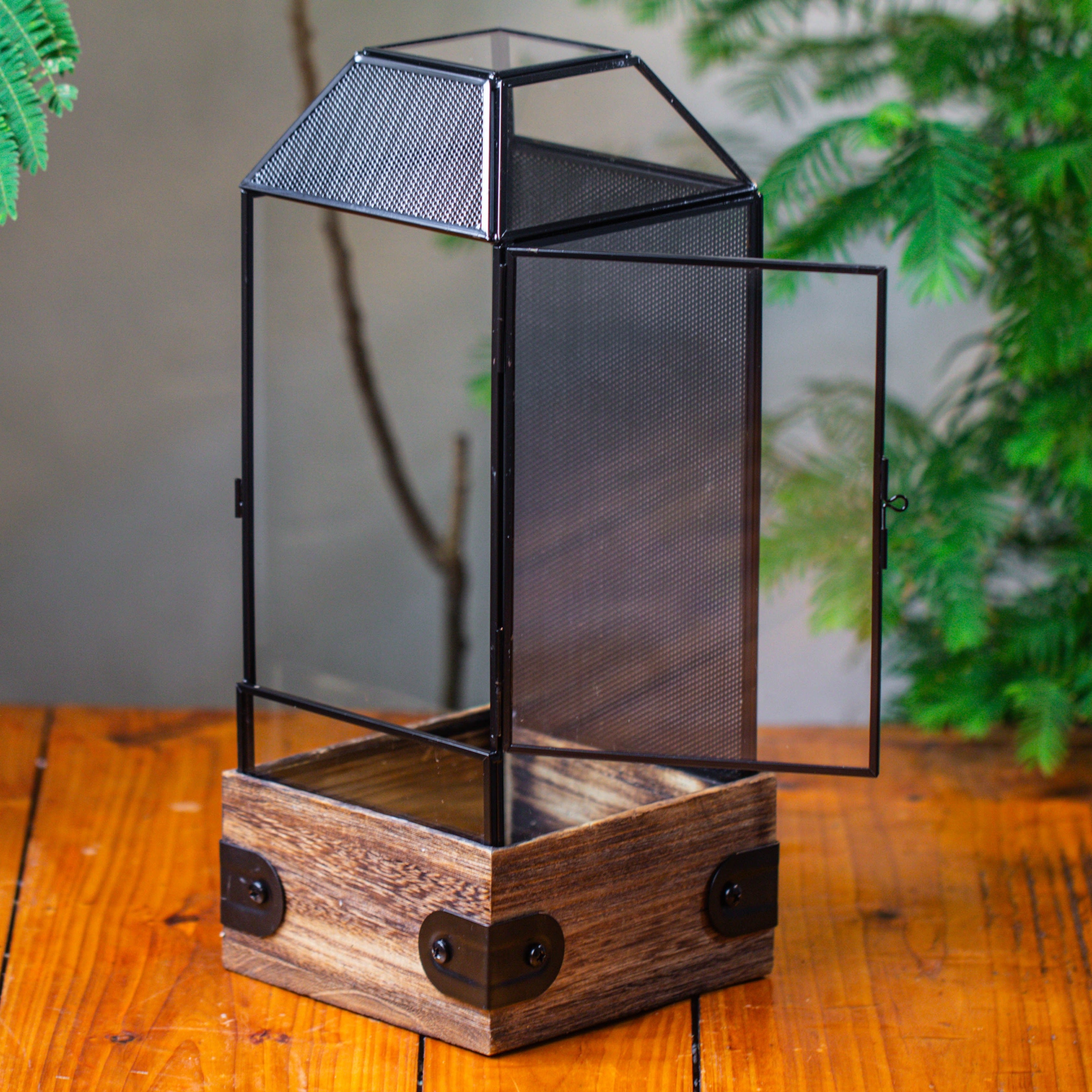 Handmade Glass Terrarium with Wood Base, Geometric Jumping Spider Enclosure, with Mesh Vent, for Plants, Snail, Insects - NCYPgarden