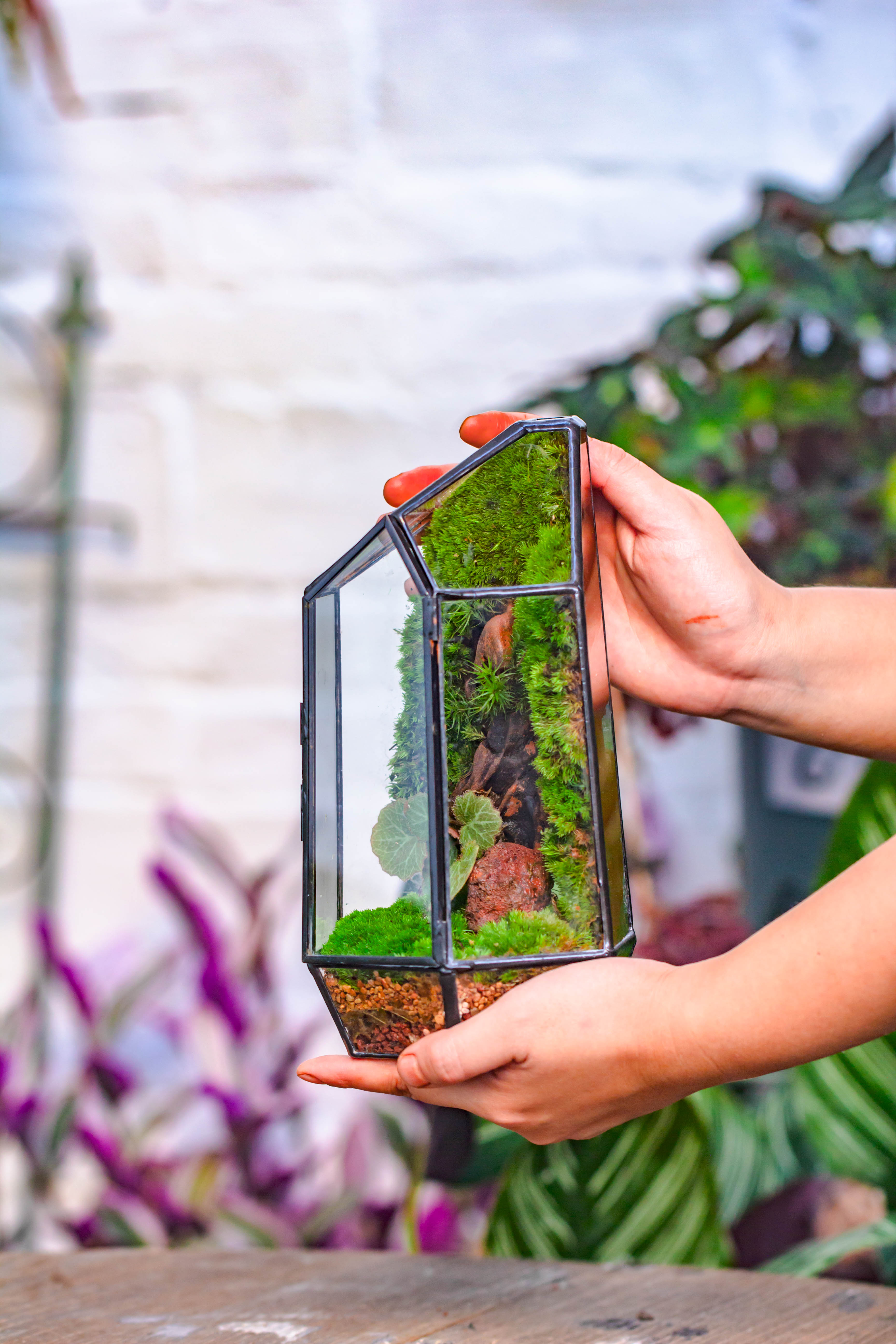 geometric succulent pot NCYP 8.66" Height Closed Irregular Glass Terrarium With Door Succulent – NCYPgarden